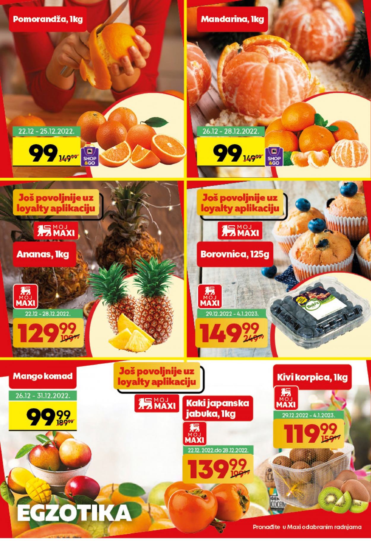 Maxi katalog - 22.12.2022 - 08.01.2023. Stranica 2