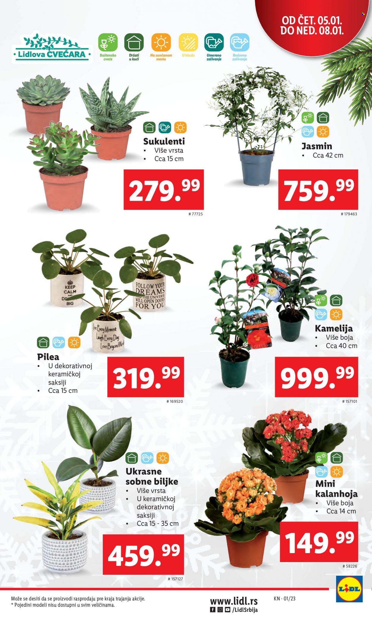 Lidl katalog - 05.01.2023 - 11.01.2023. Stranica 7