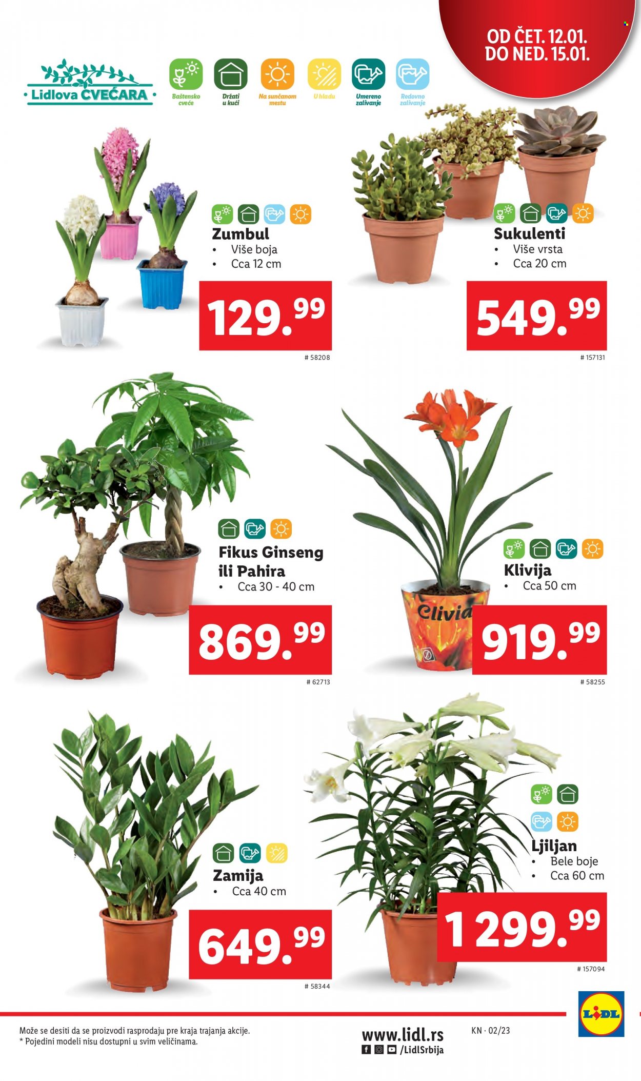 Lidl katalog - 12.01.2023 - 18.01.2023. Stranica 5