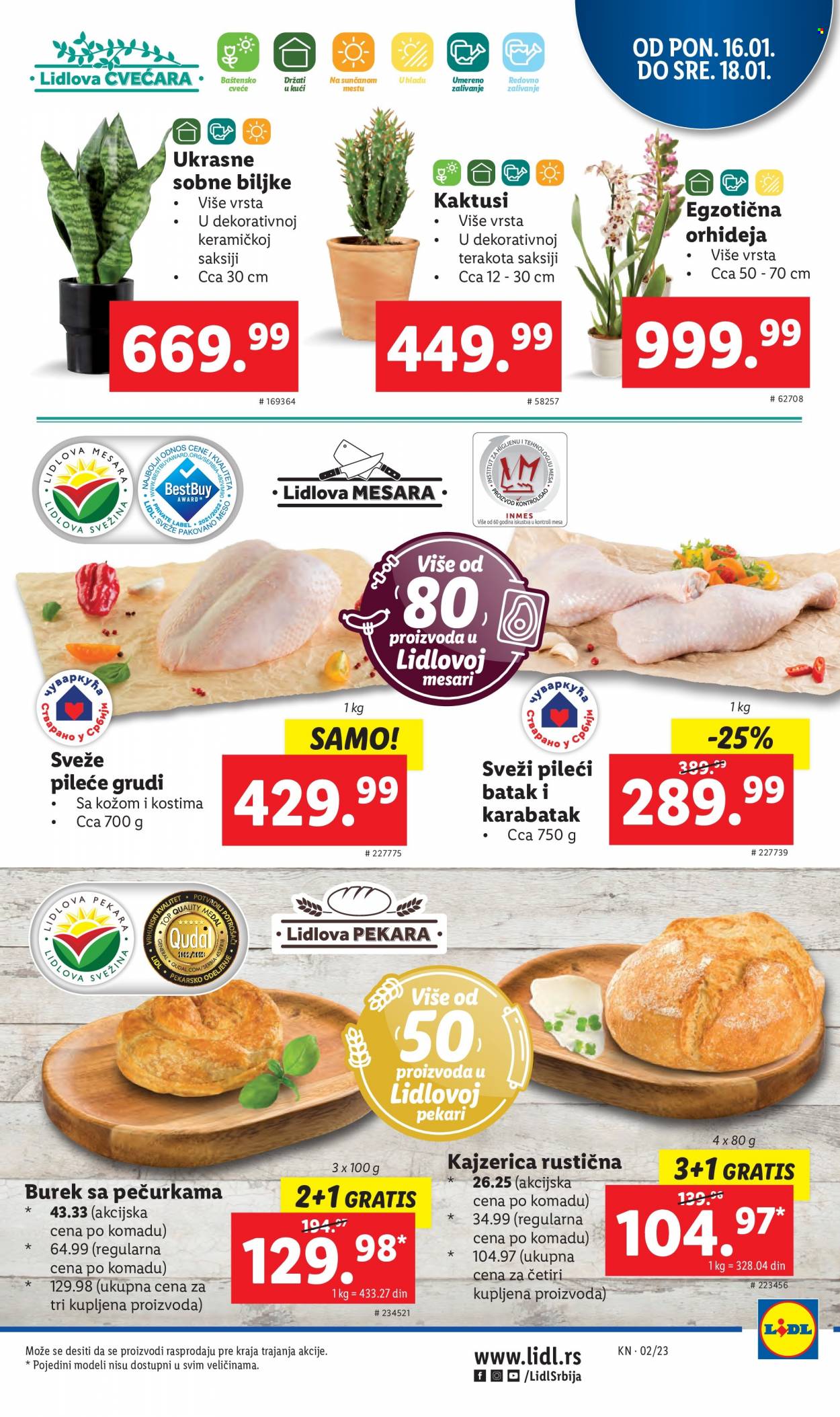 Lidl katalog - 12.01.2023 - 18.01.2023. Stranica 43