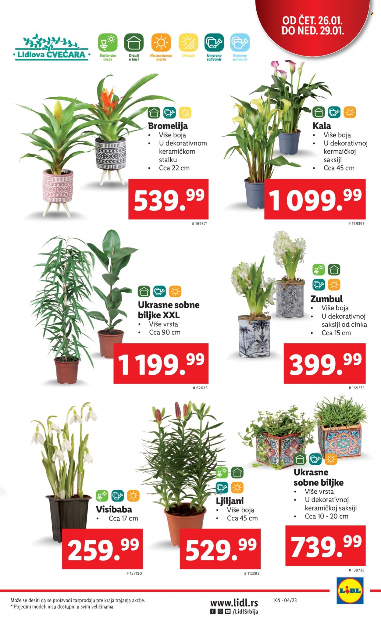 Lidl katalog - 26.01.2023 - 01.02.2023. Stranica 7
