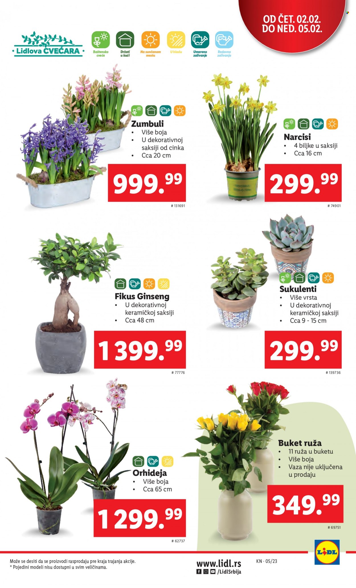Lidl katalog - 02.02.2023 - 08.02.2023. Stranica 5