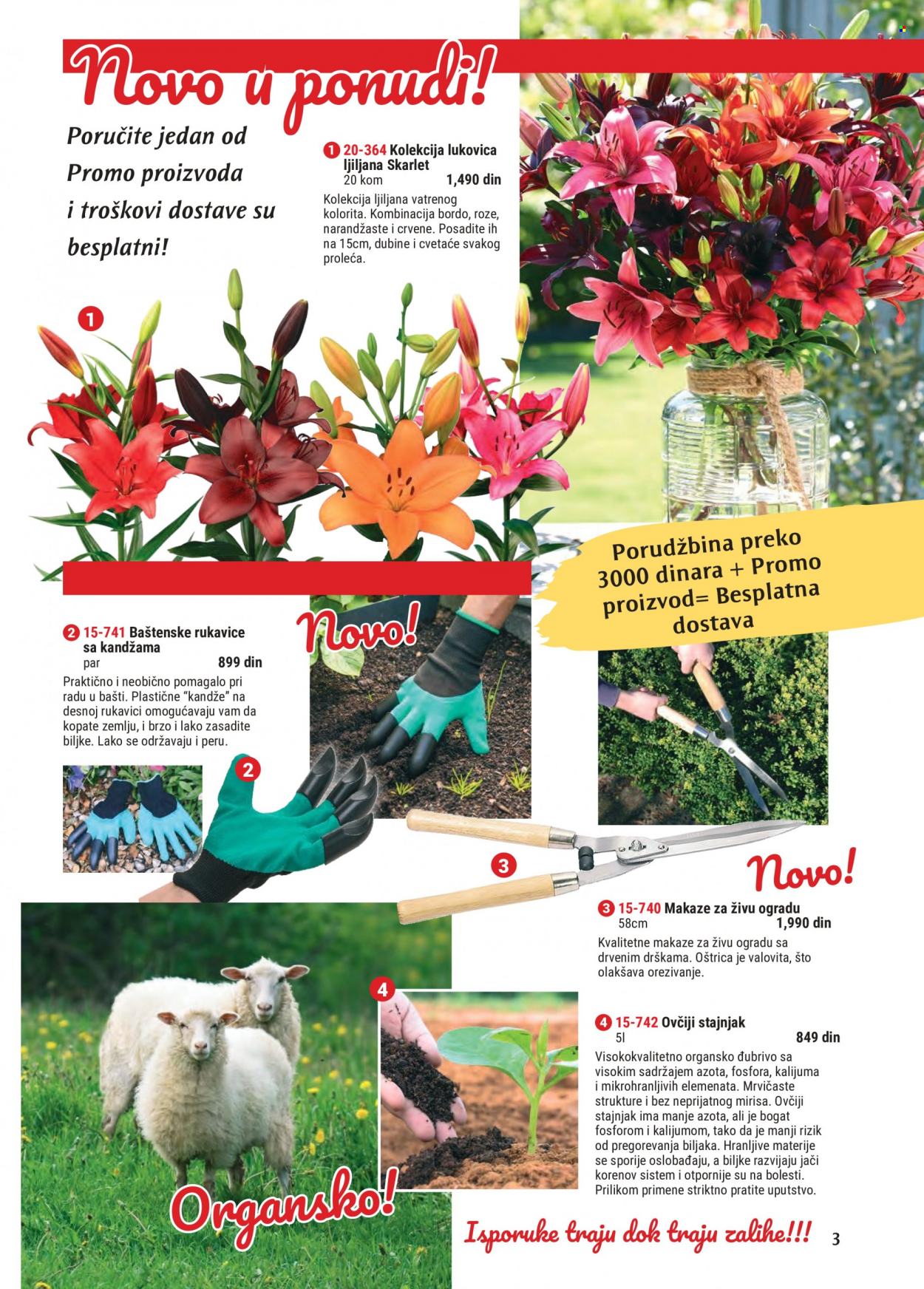 Flora Ekspres katalog. Stranica 3