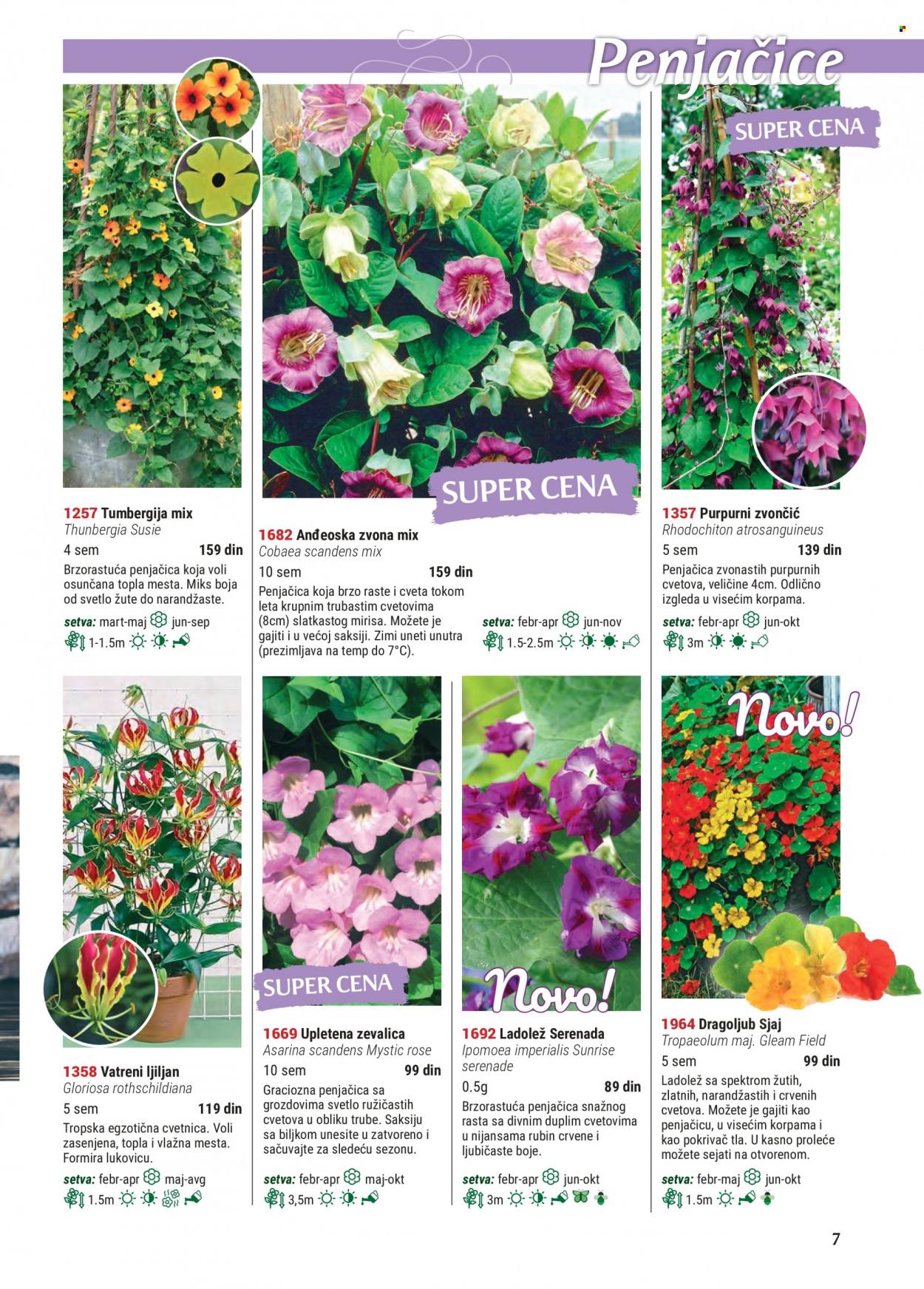 Flora Ekspres katalog. Stranica 7