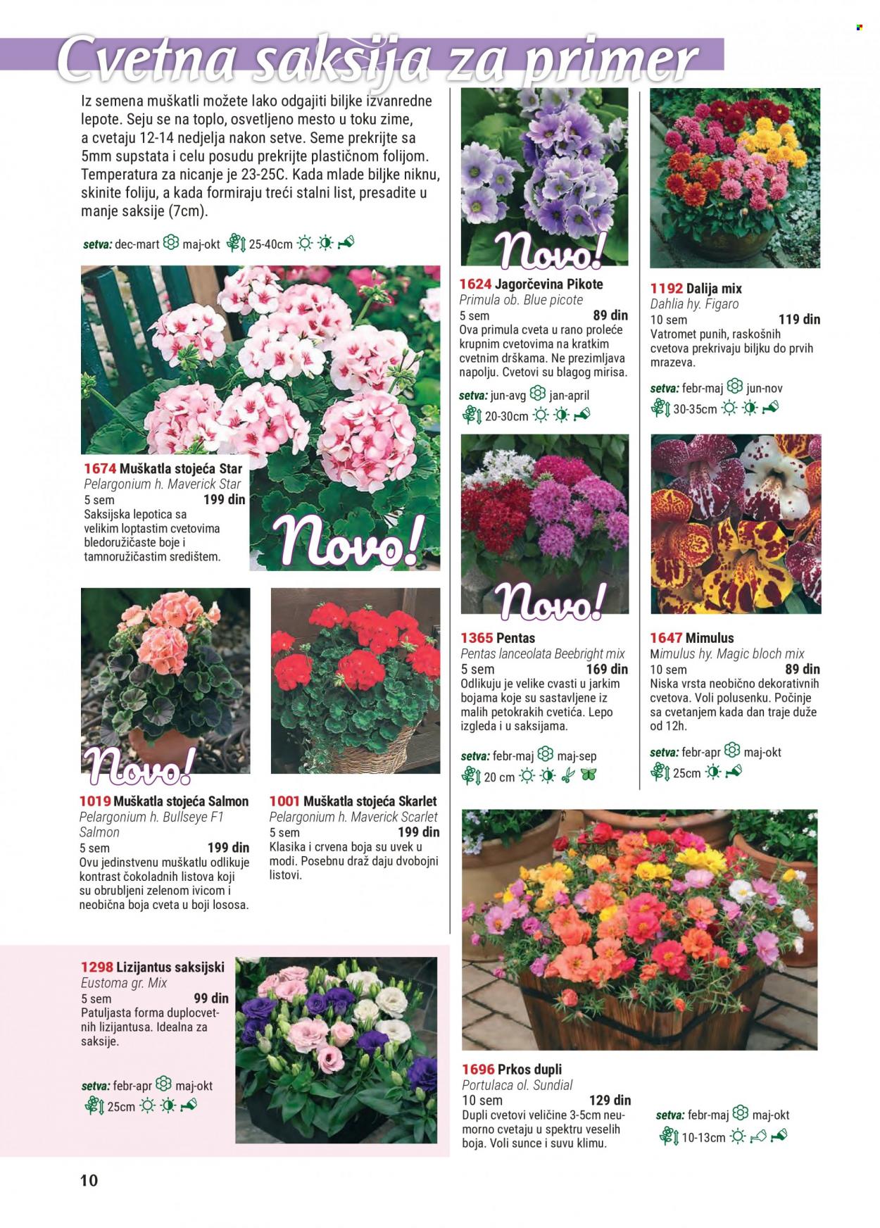 Flora Ekspres katalog. Stranica 10