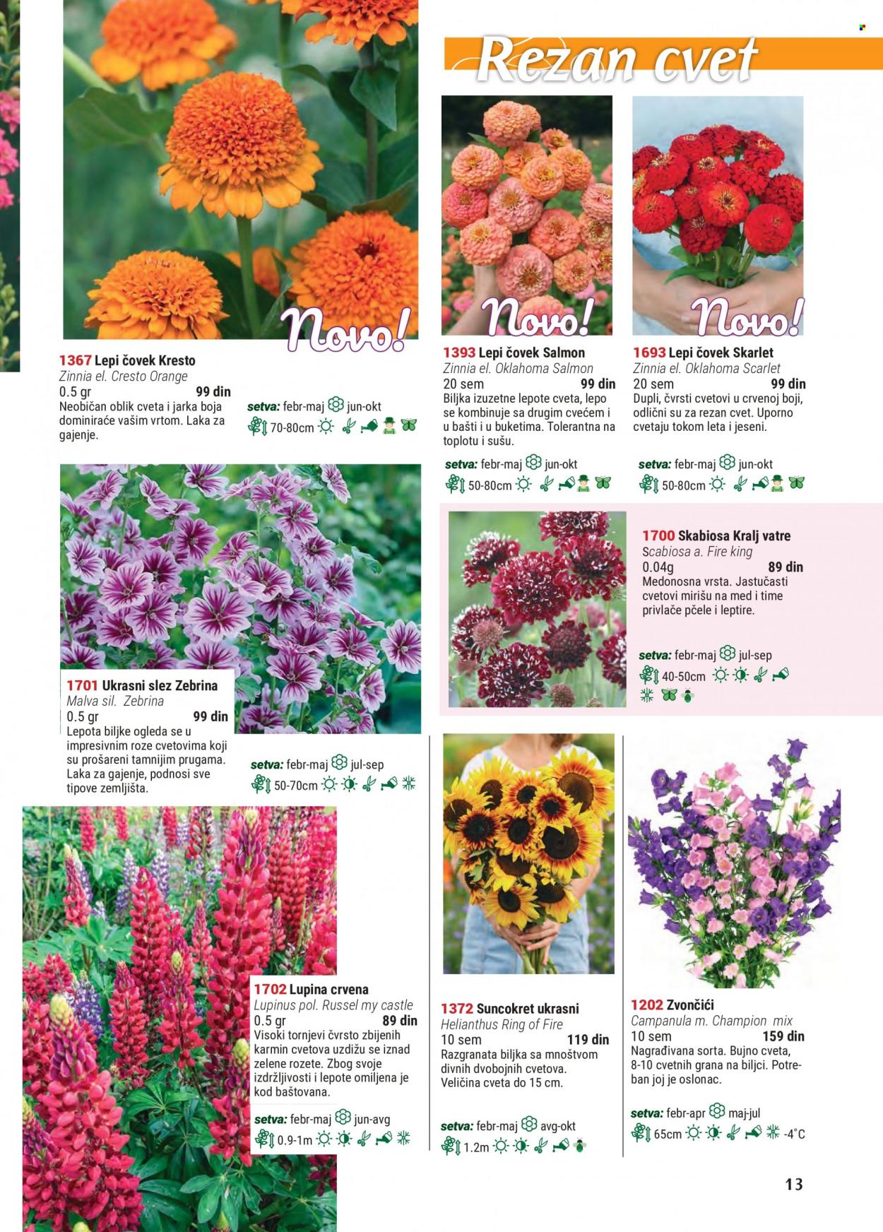 Flora Ekspres katalog. Stranica 13