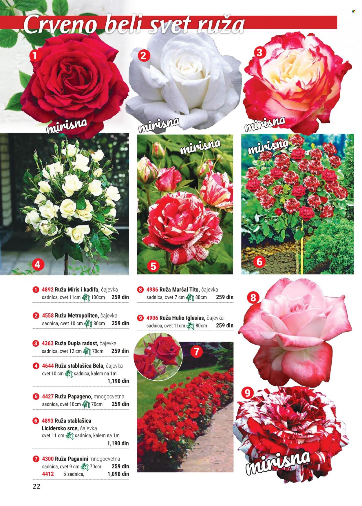 Flora Ekspres katalog. Stranica 22