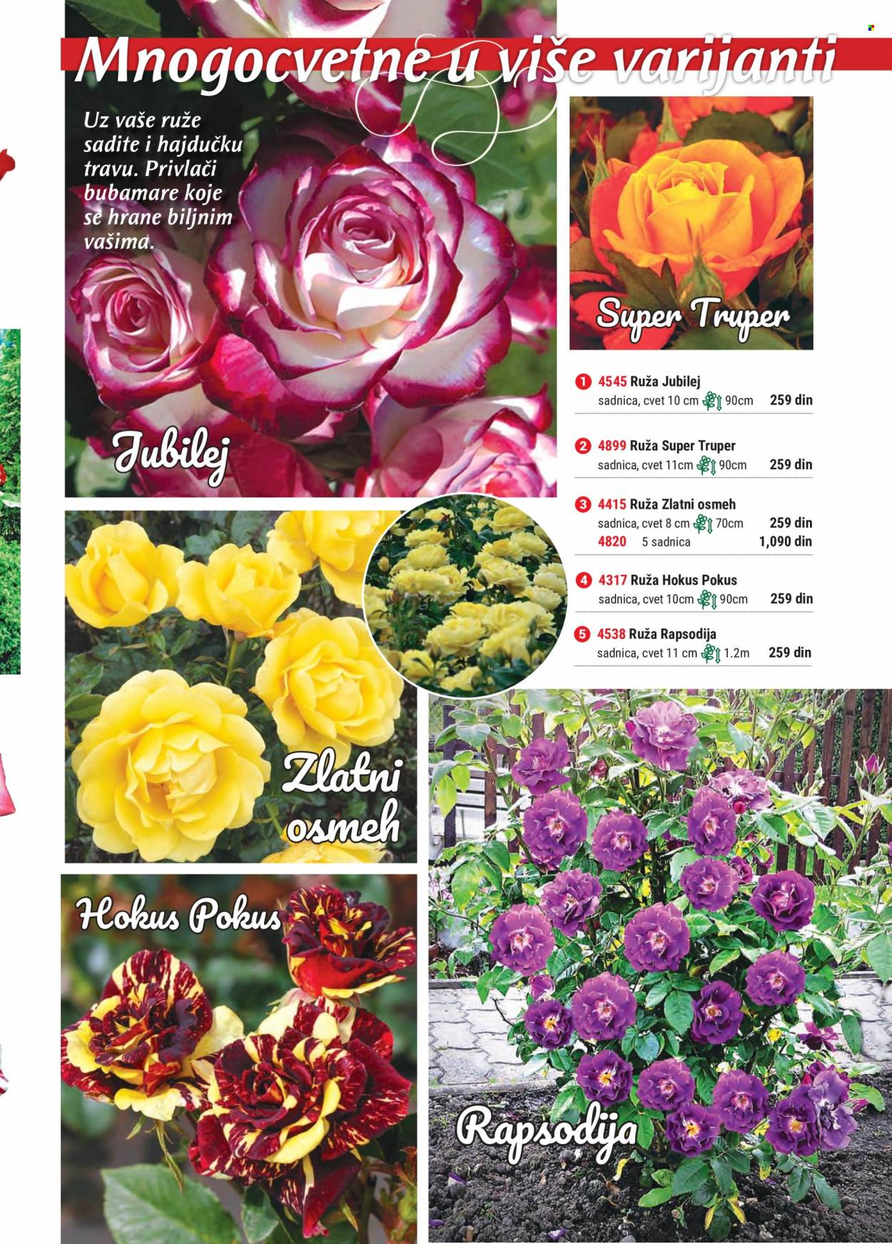 Flora Ekspres katalog. Stranica 23