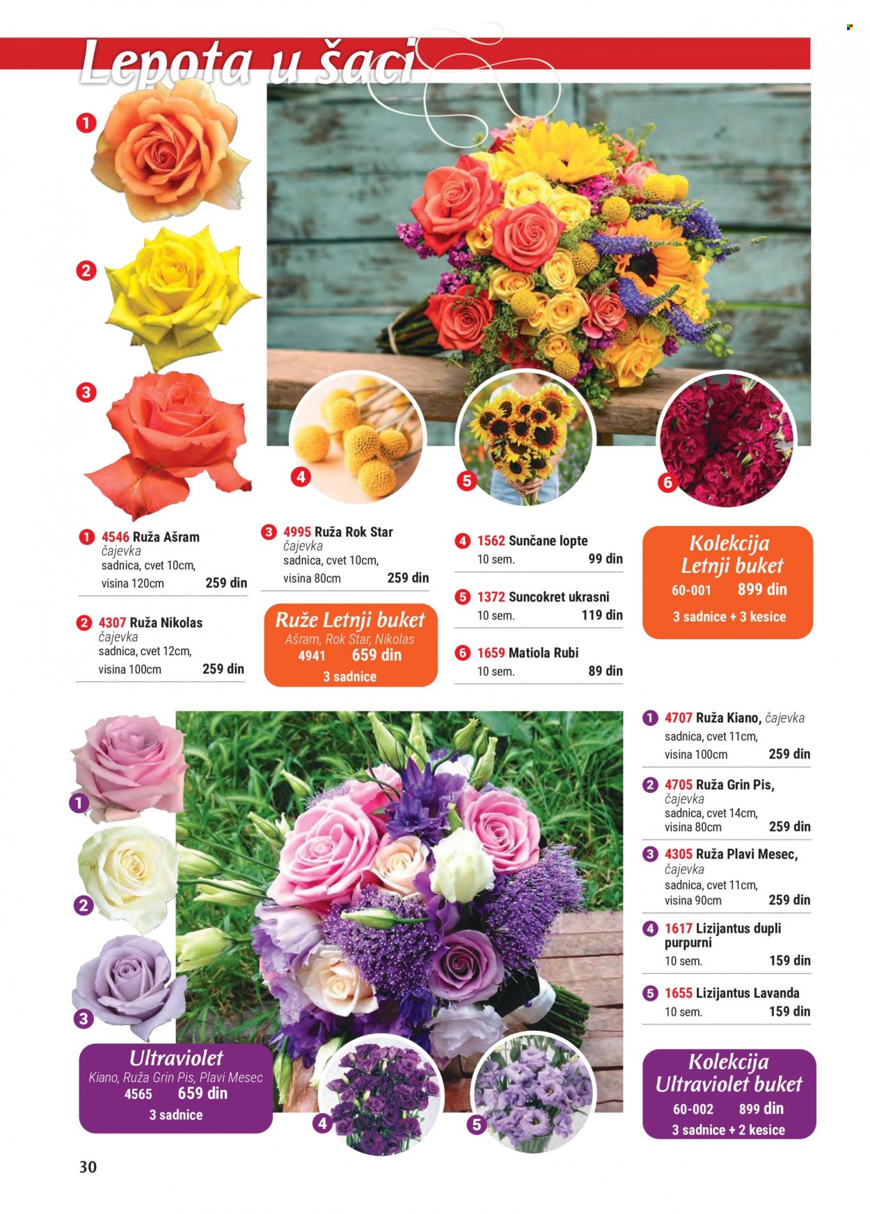thumbnail - Flora Ekspres katalog - Proizvodi na akciji - lavanda, sadnice, ruže, suncokret. Stranica 30.