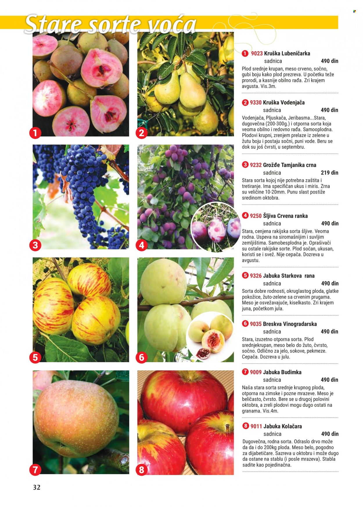 Flora Ekspres katalog. Stranica 32
