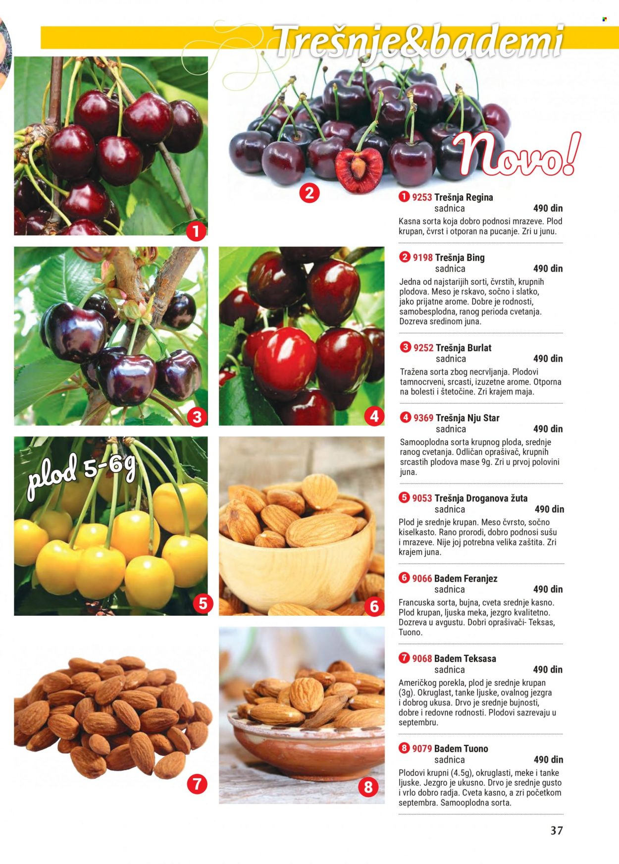 Flora Ekspres katalog. Stranica 37