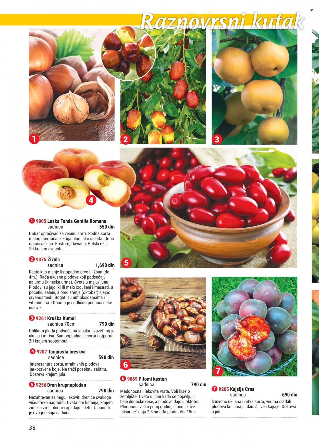 Flora Ekspres katalog. Stranica 38