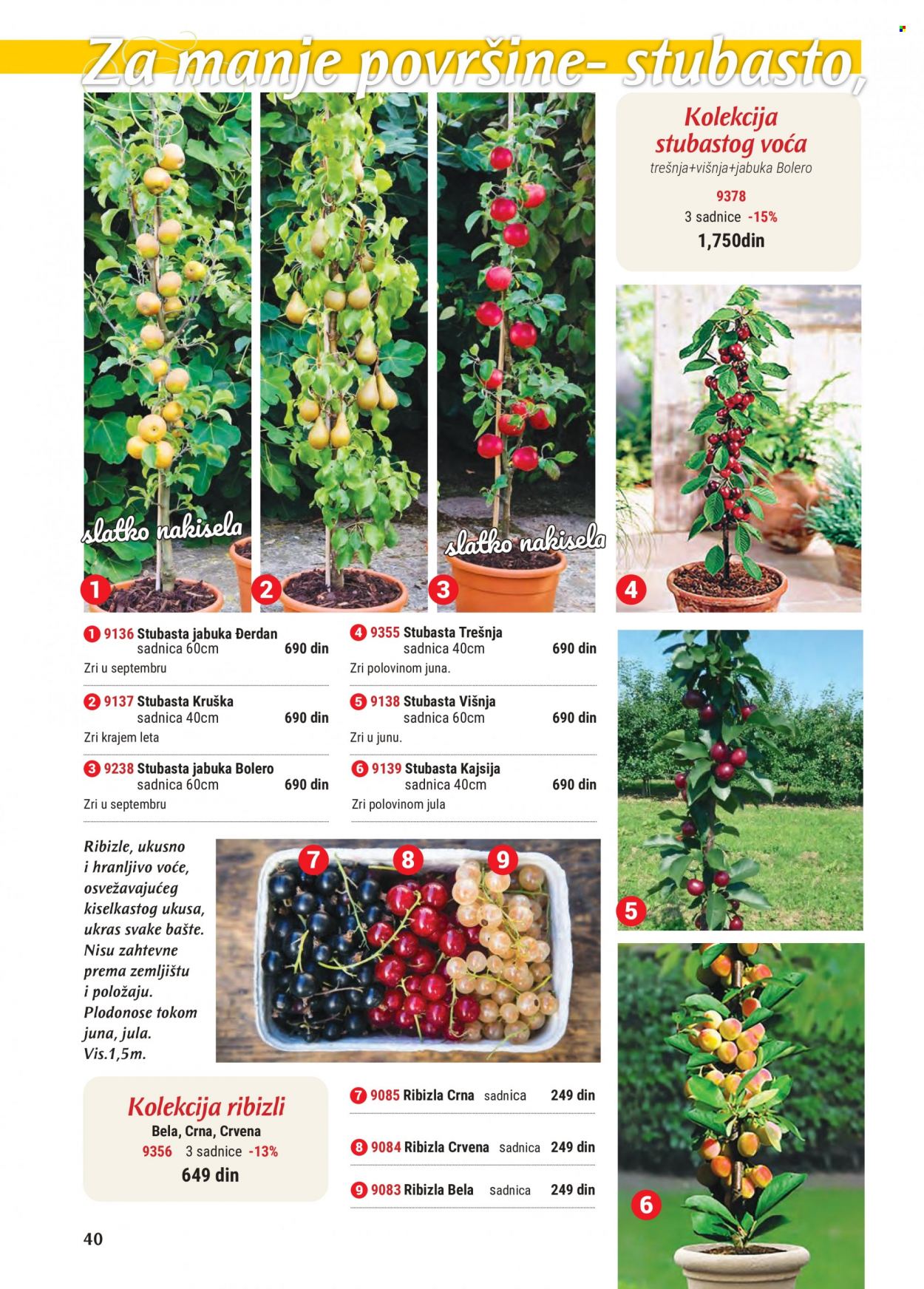 Flora Ekspres katalog. Stranica 40