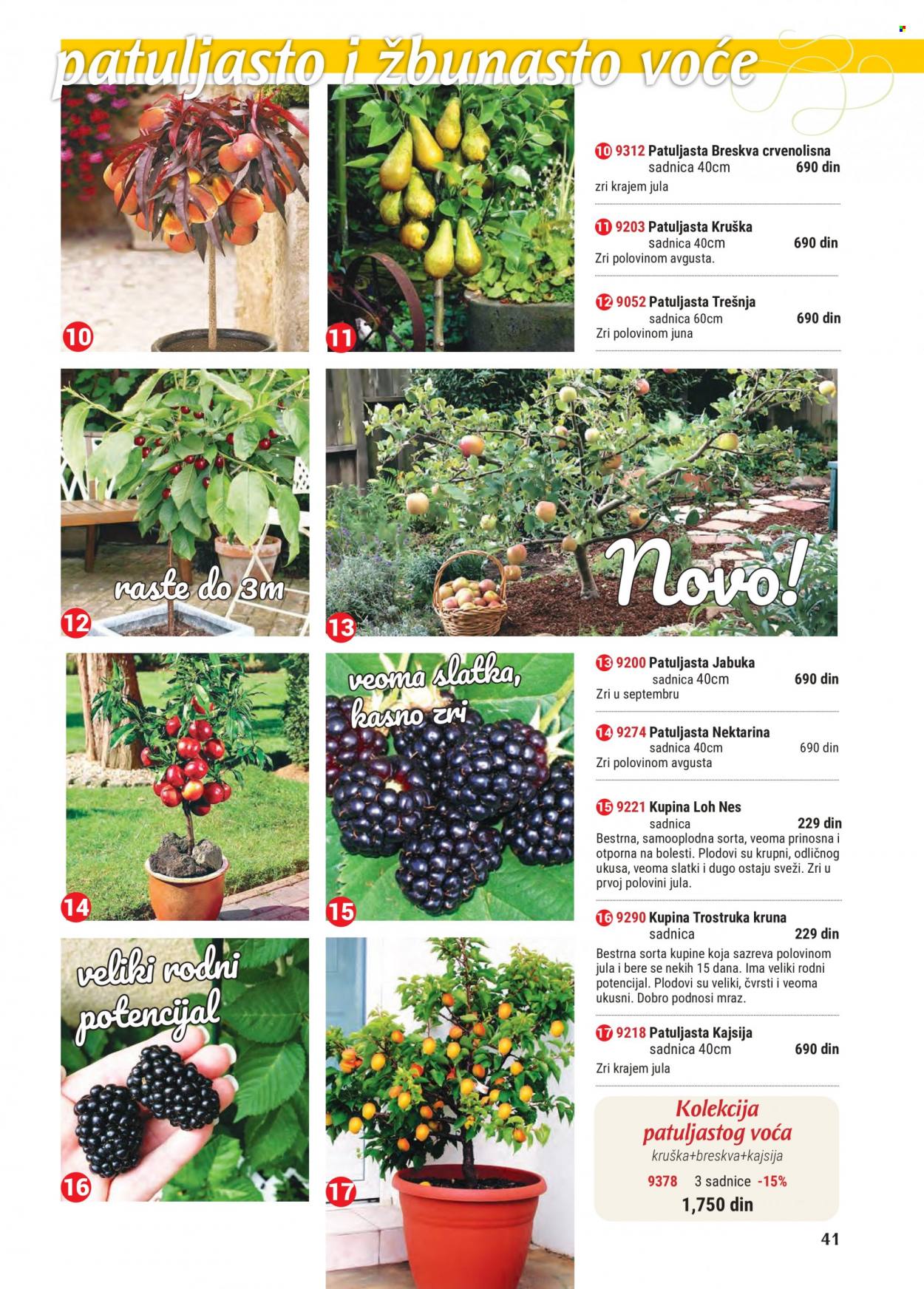 Flora Ekspres katalog. Stranica 41