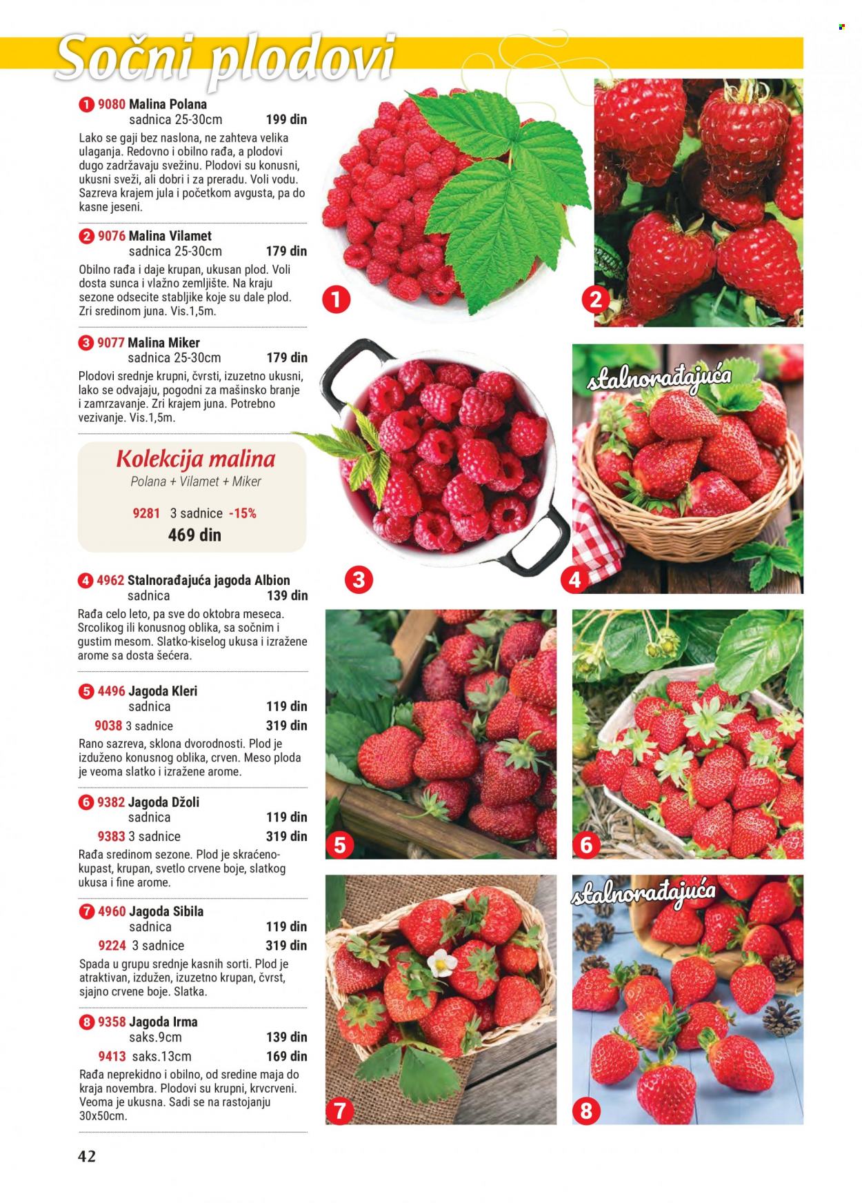 Flora Ekspres katalog. Stranica 42