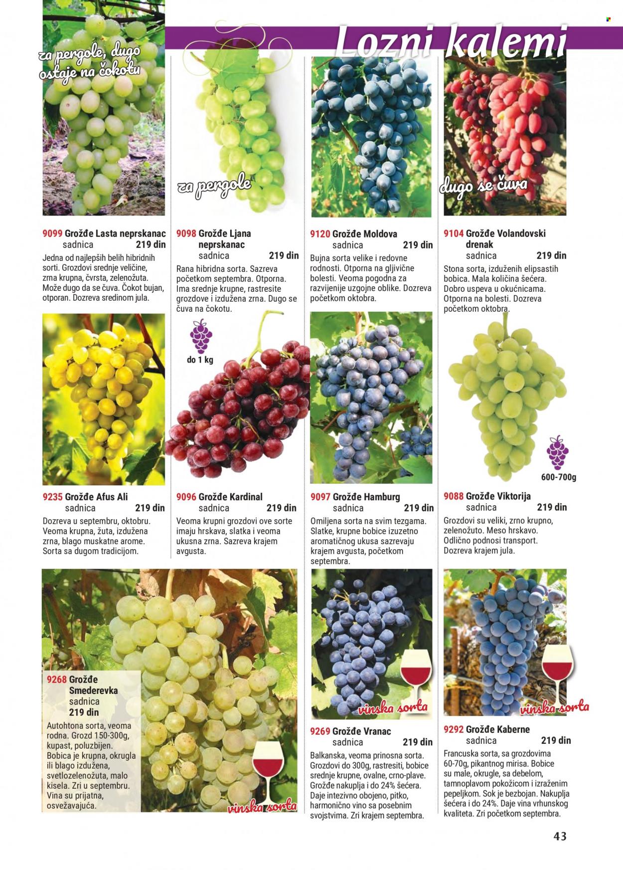 Flora Ekspres katalog. Stranica 43