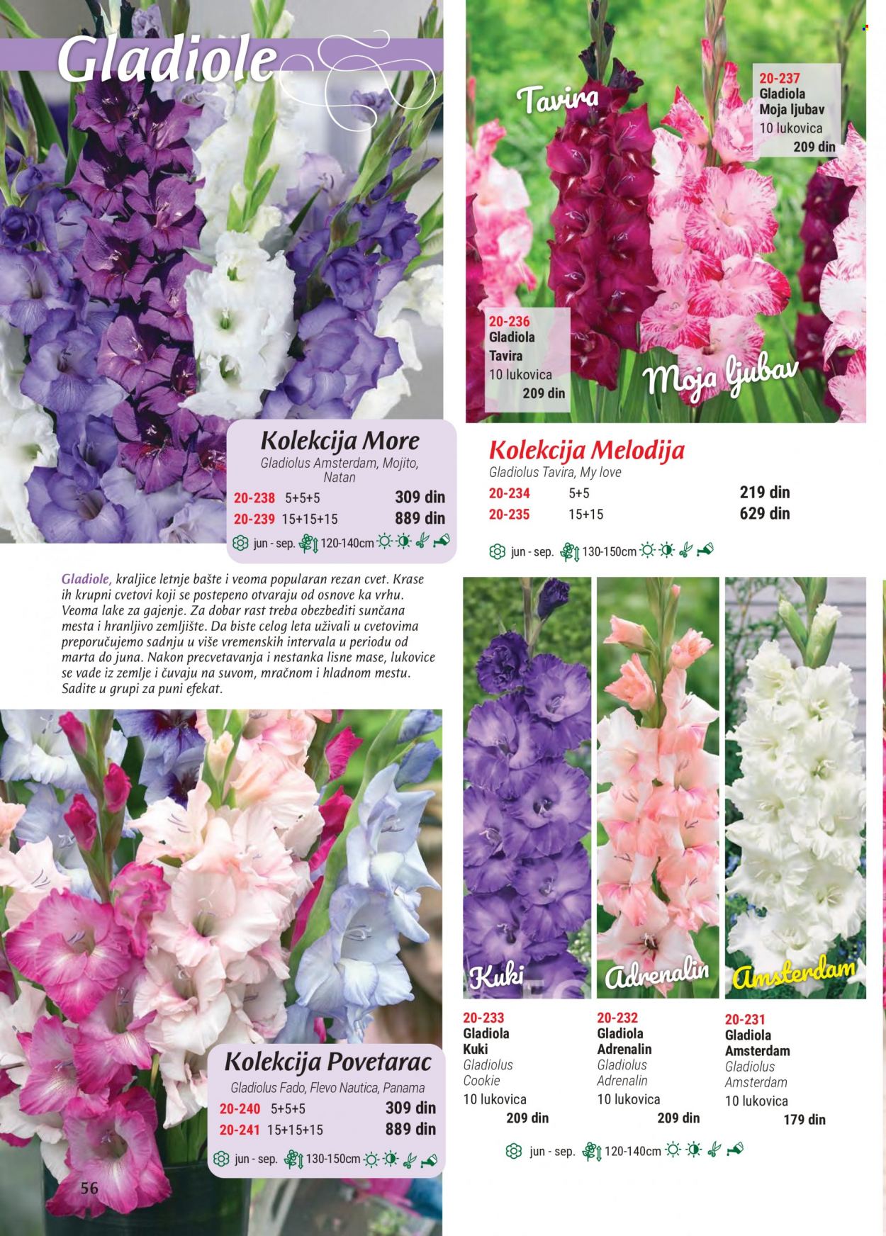 Flora Ekspres katalog. Stranica 56