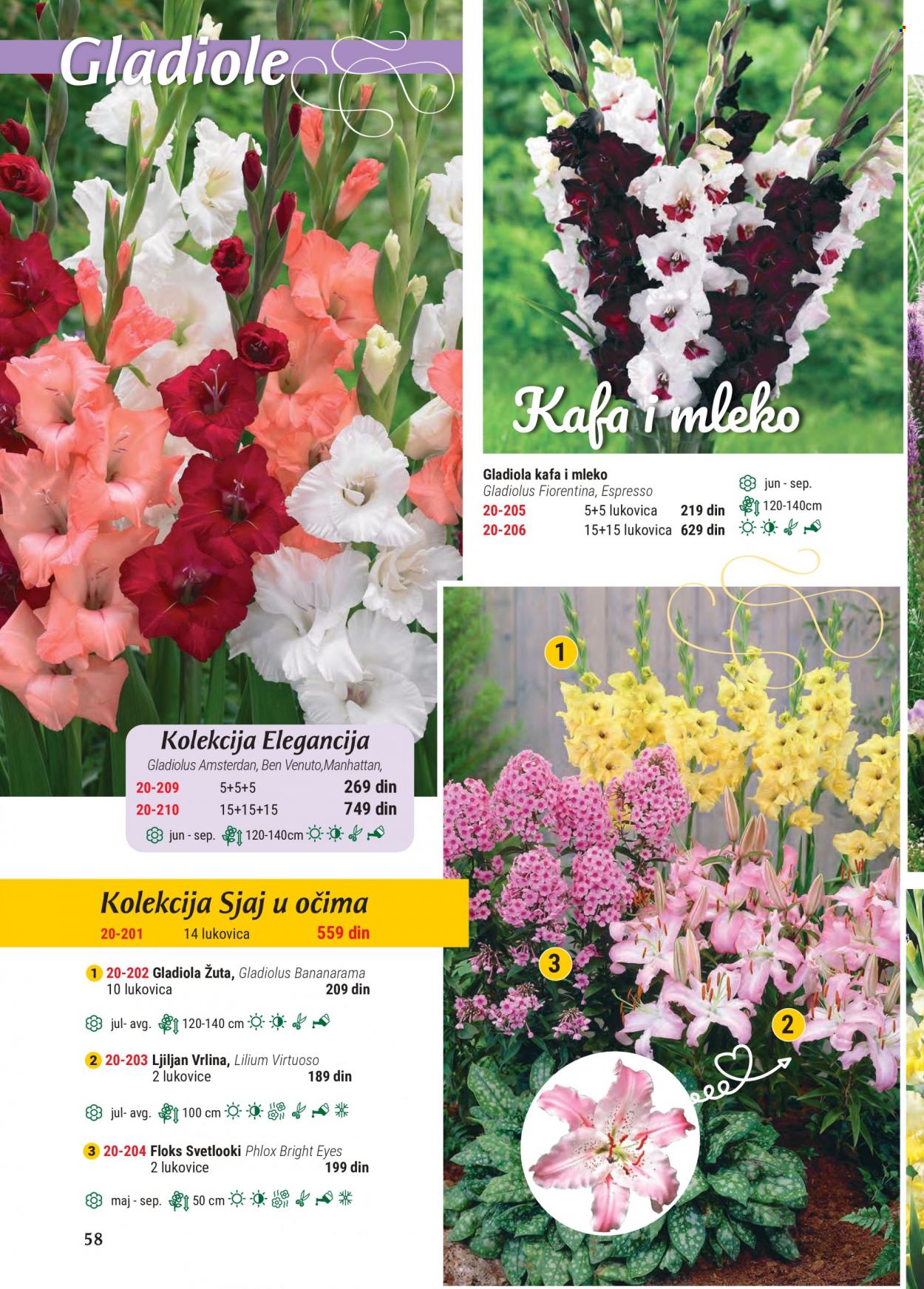 Flora Ekspres katalog. Stranica 58