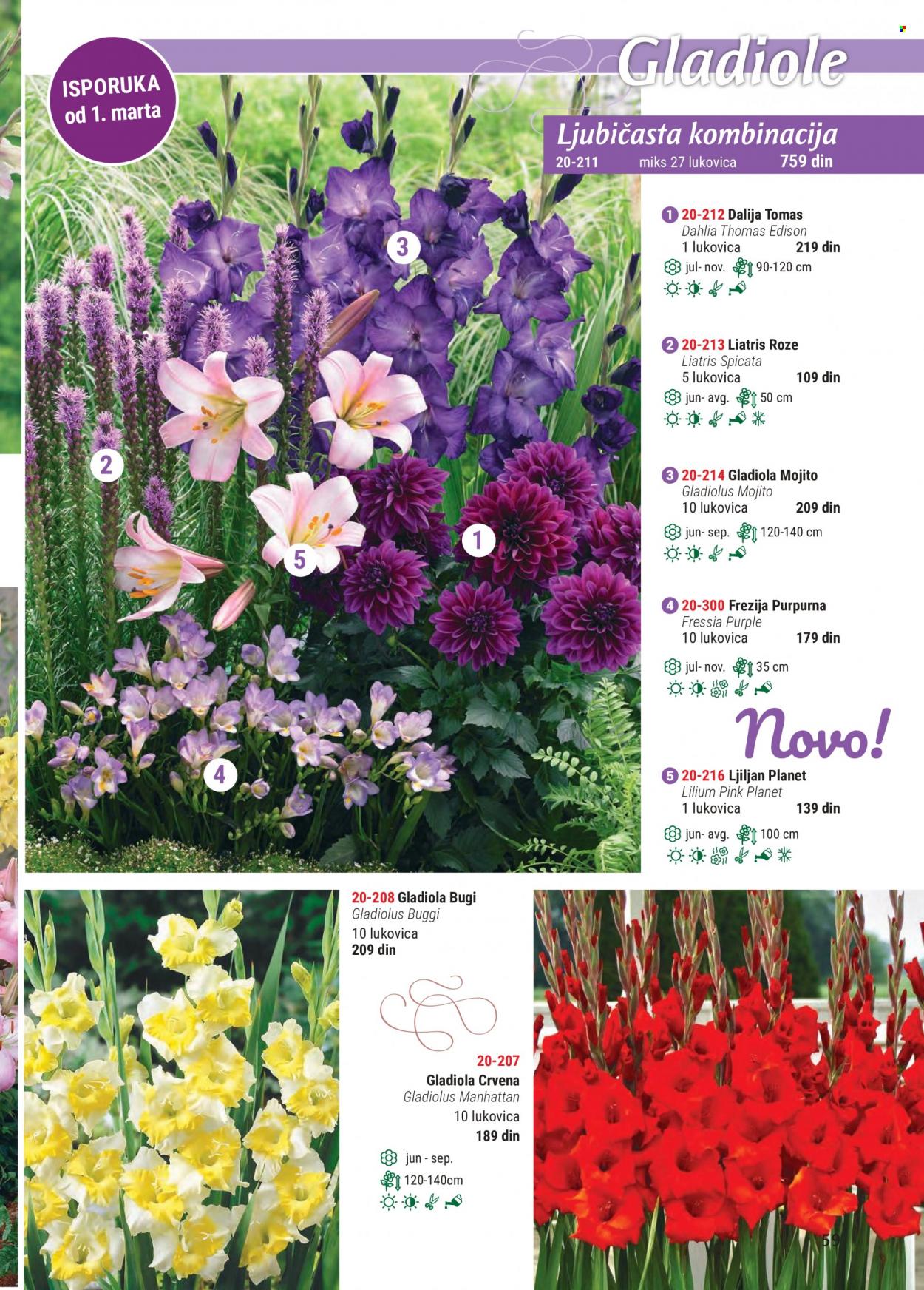 Flora Ekspres katalog. Stranica 59