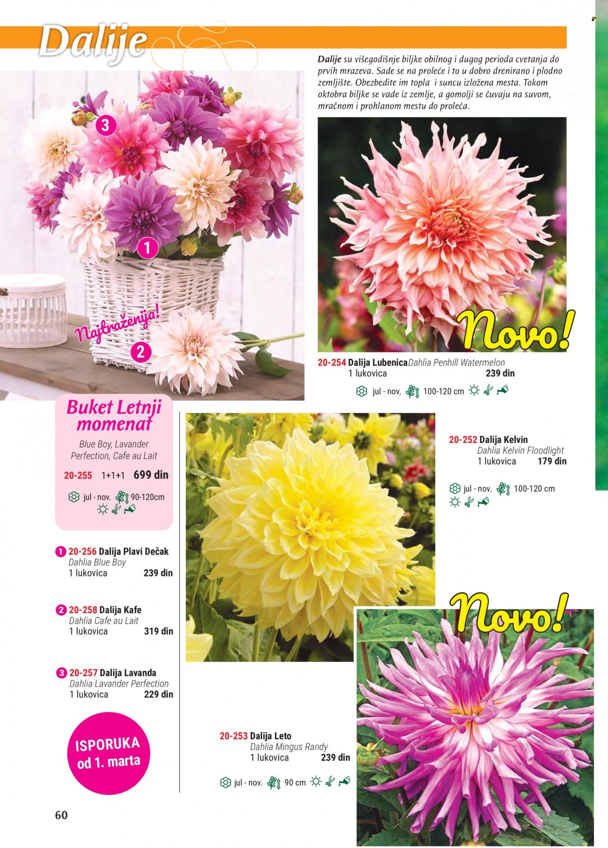 Flora Ekspres katalog. Stranica 60