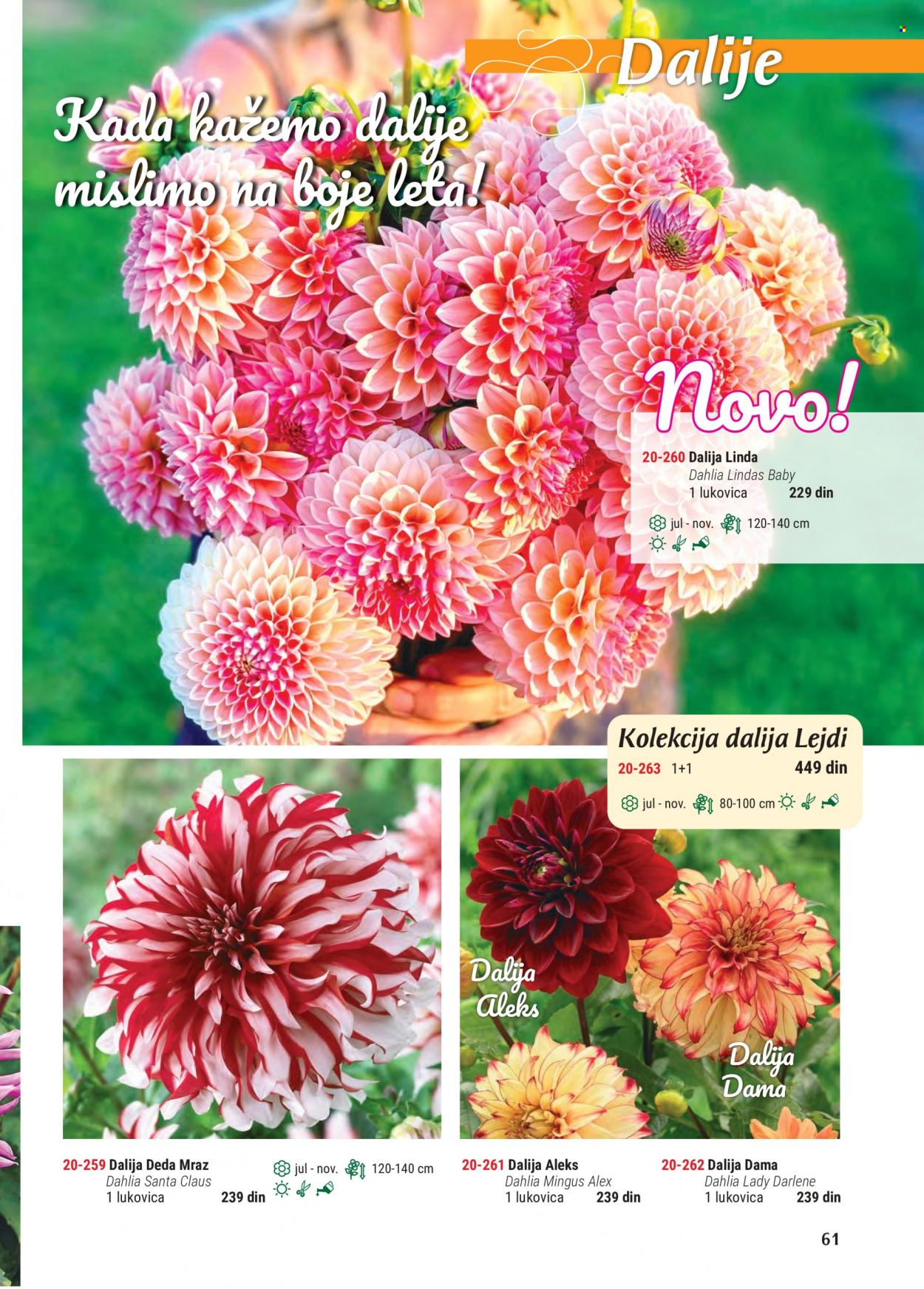 Flora Ekspres katalog. Stranica 61