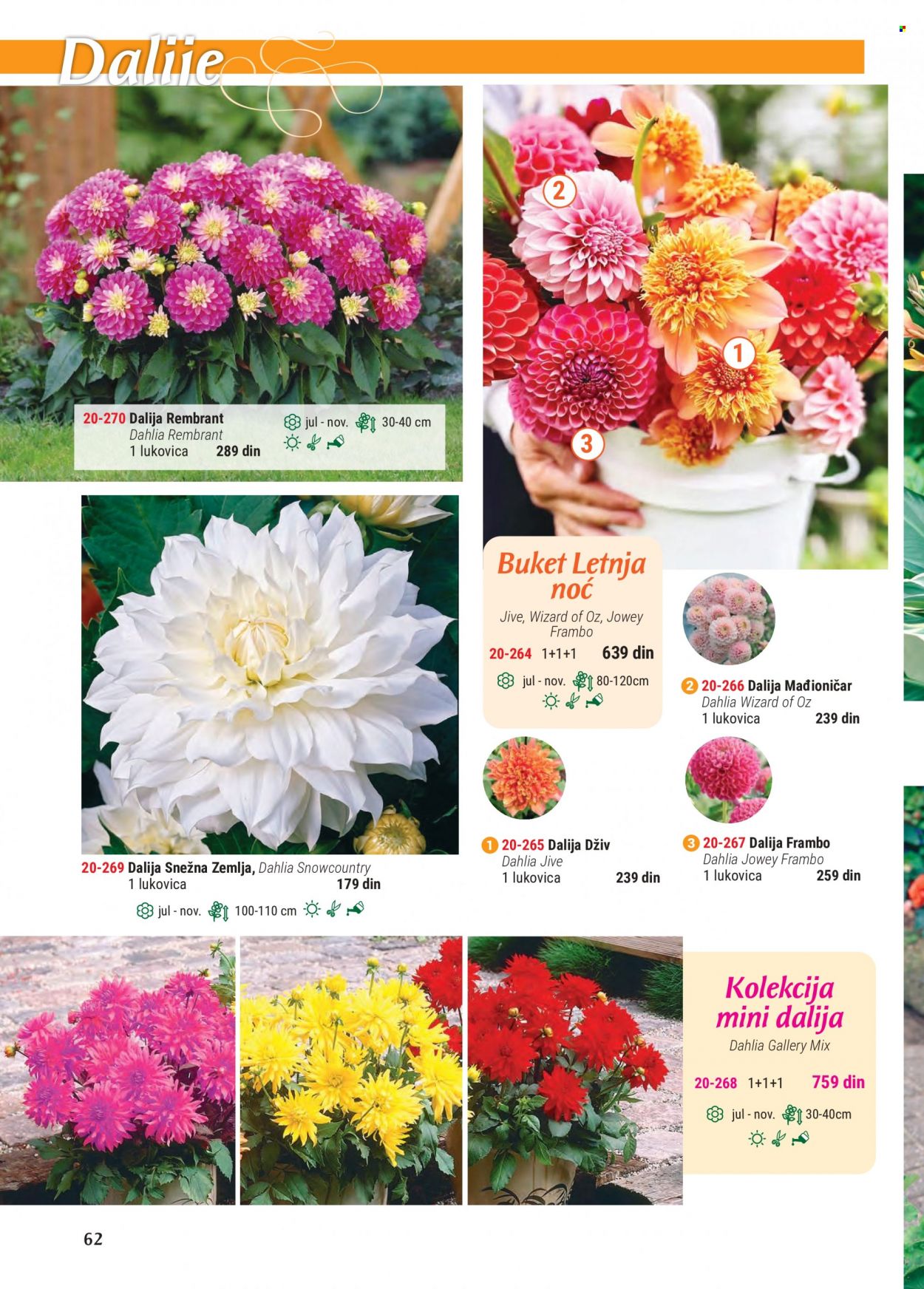 Flora Ekspres katalog. Stranica 62