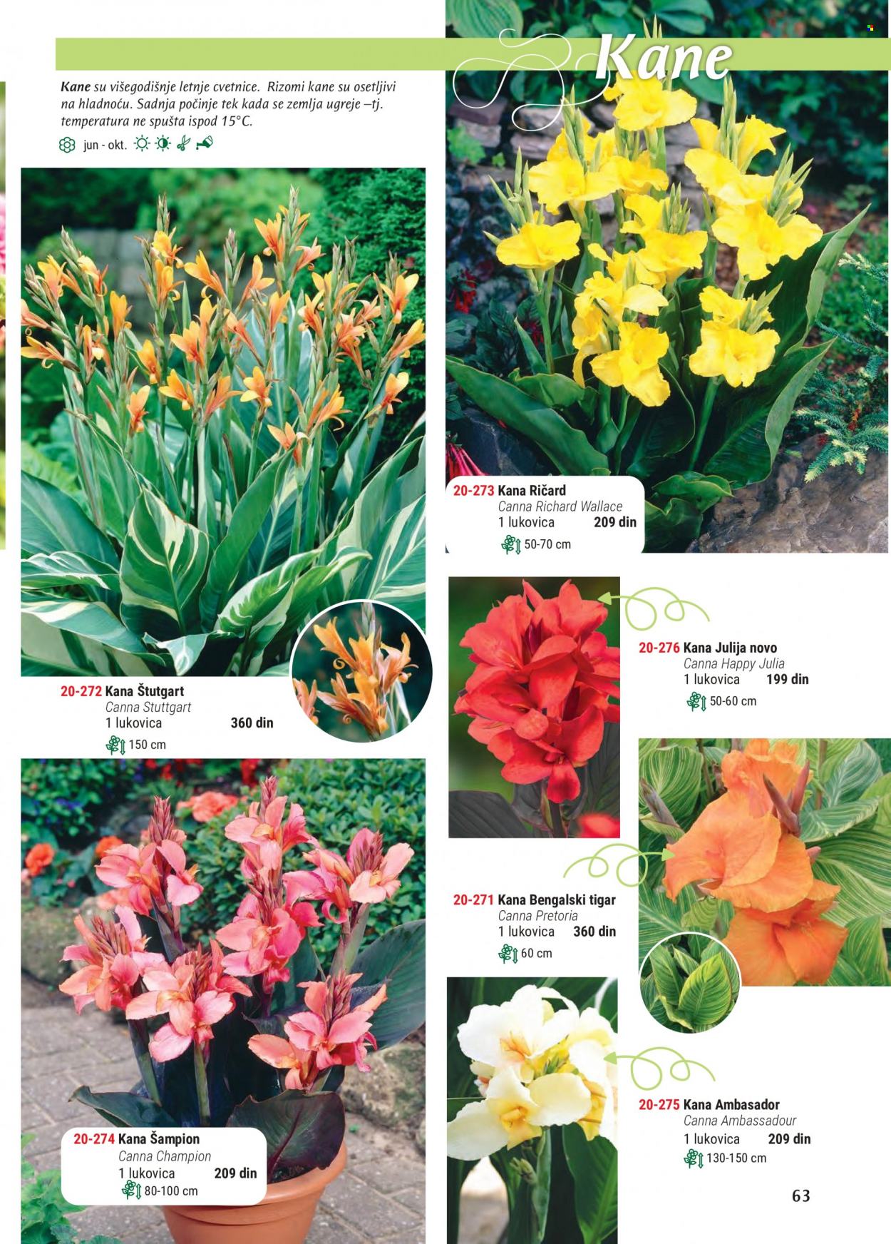 Flora Ekspres katalog. Stranica 63