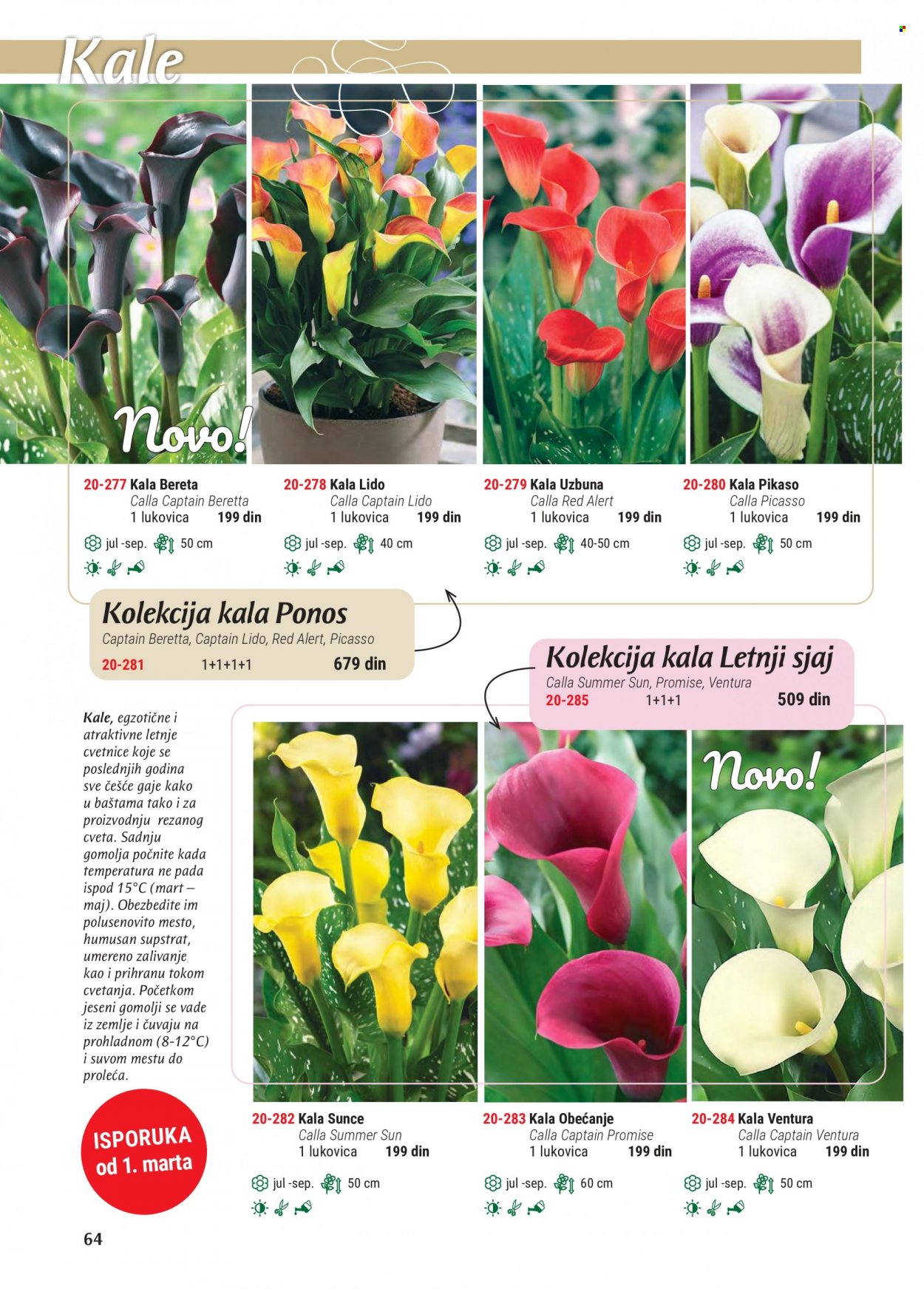 Flora Ekspres katalog. Stranica 64