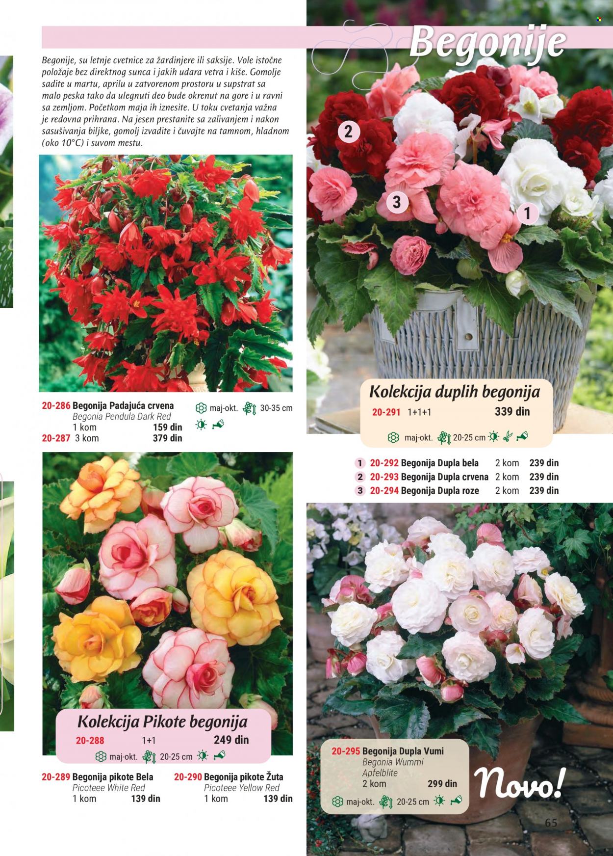 Flora Ekspres katalog. Stranica 65
