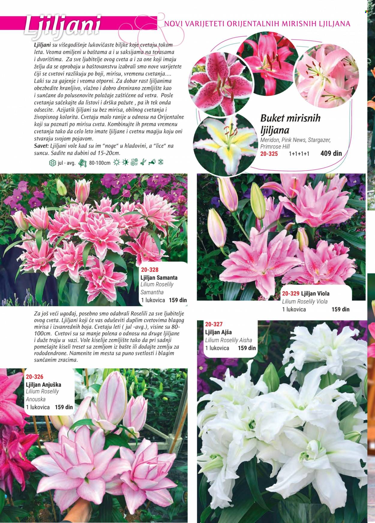 Flora Ekspres katalog. Stranica 66
