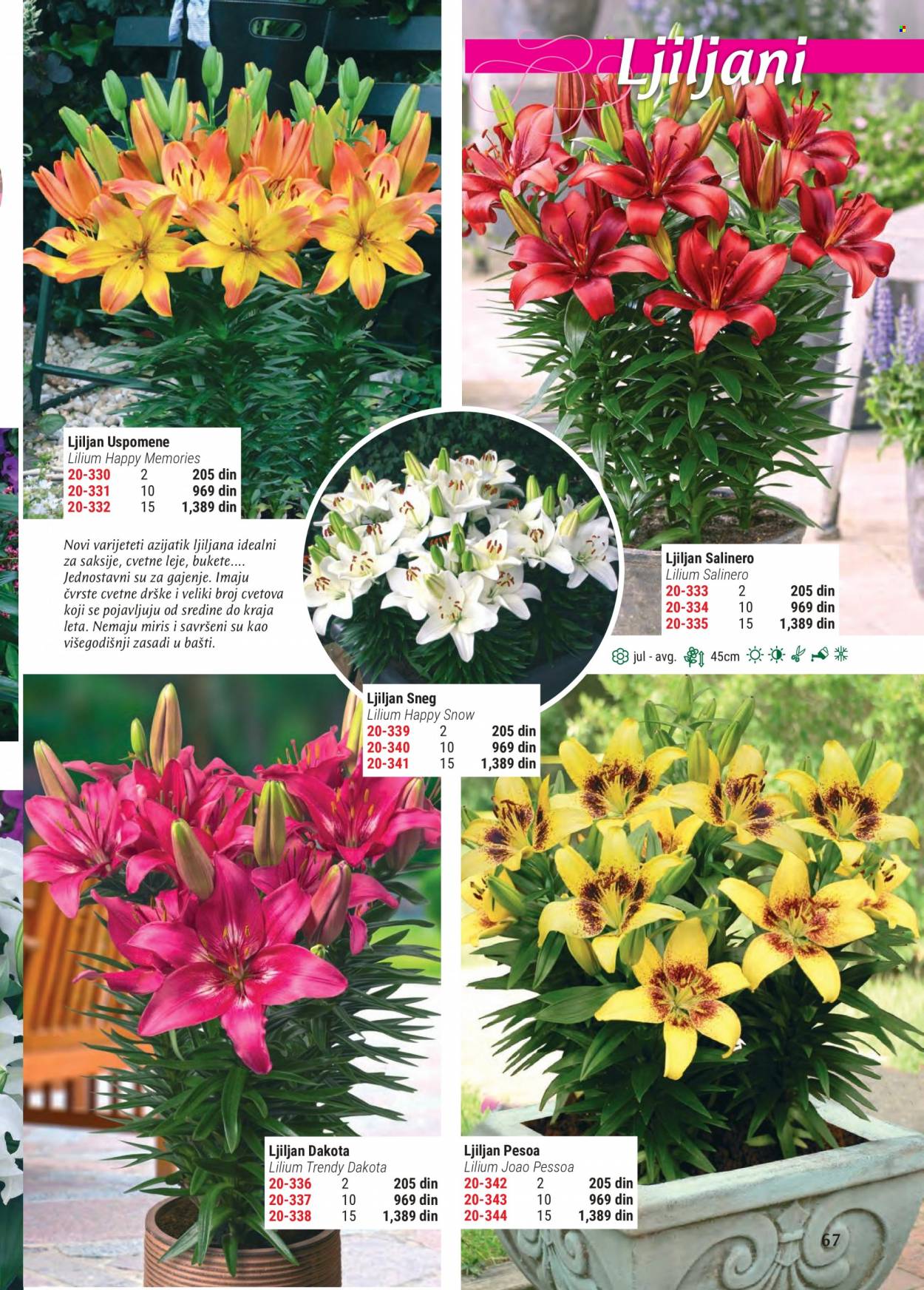 Flora Ekspres katalog. Stranica 67