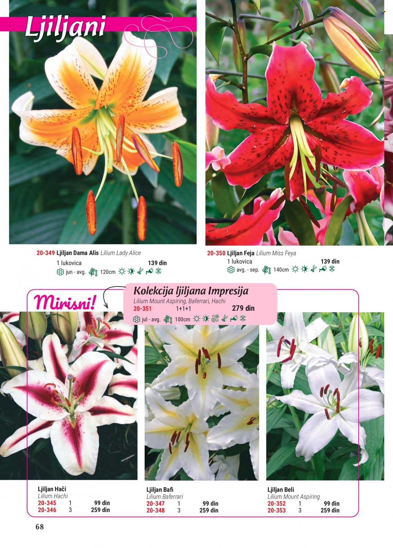 Flora Ekspres katalog. Stranica 68