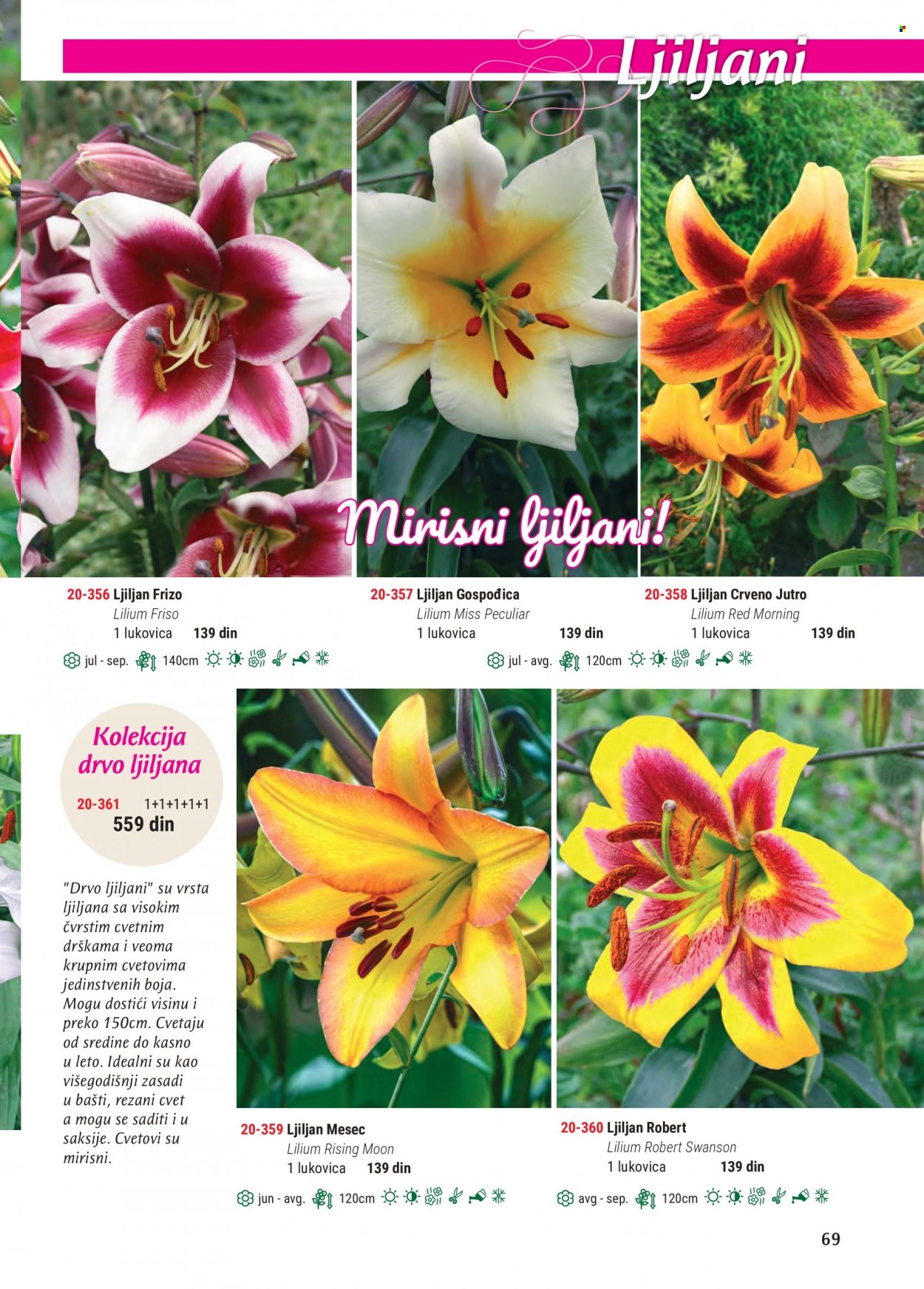 Flora Ekspres katalog. Stranica 69