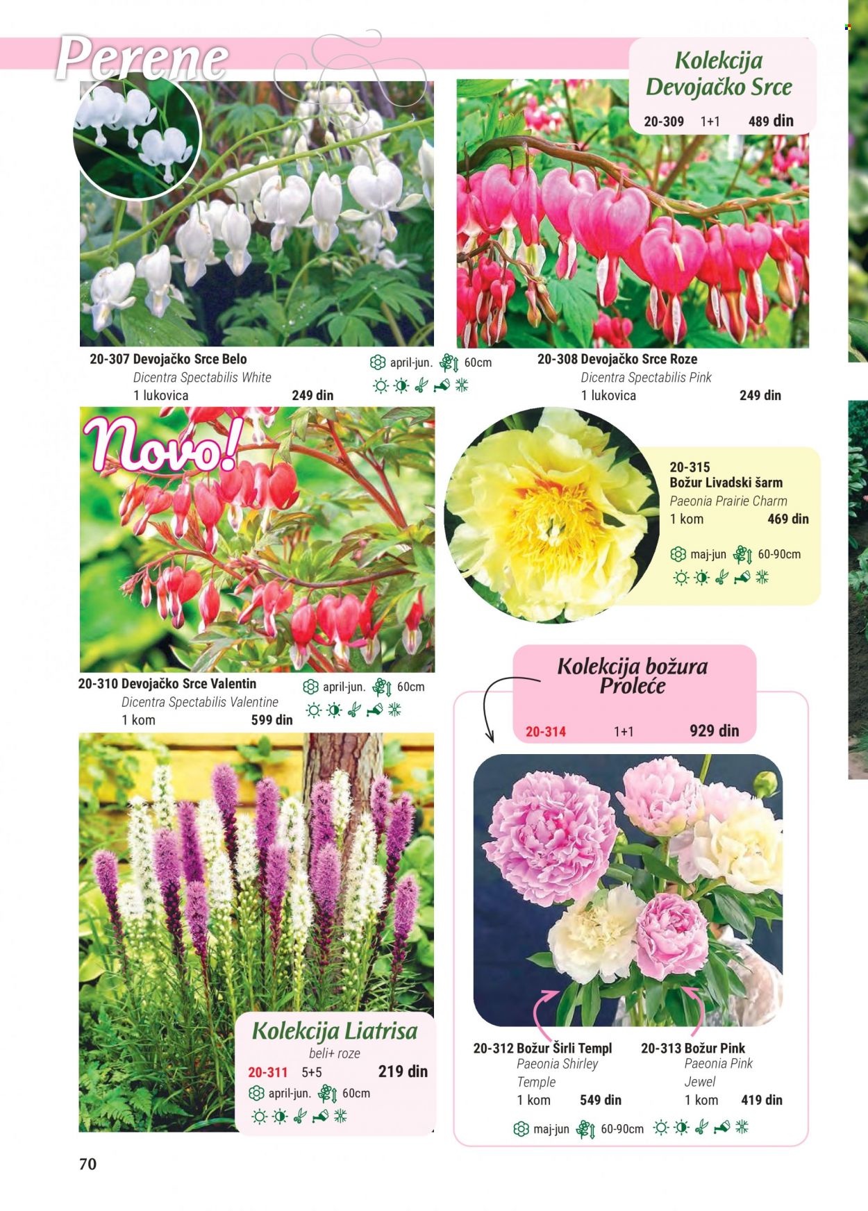 Flora Ekspres katalog. Stranica 70