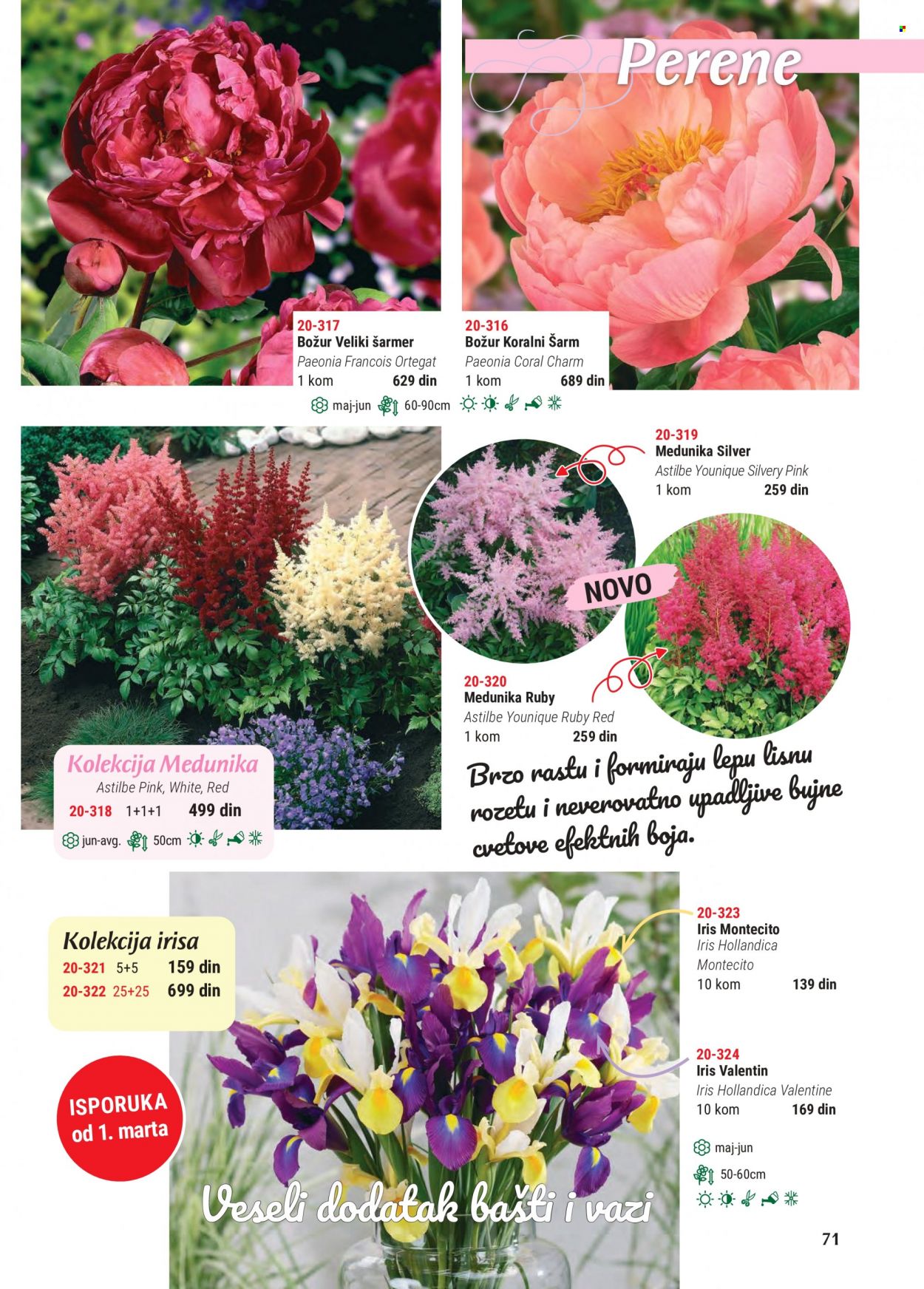 Flora Ekspres katalog. Stranica 71