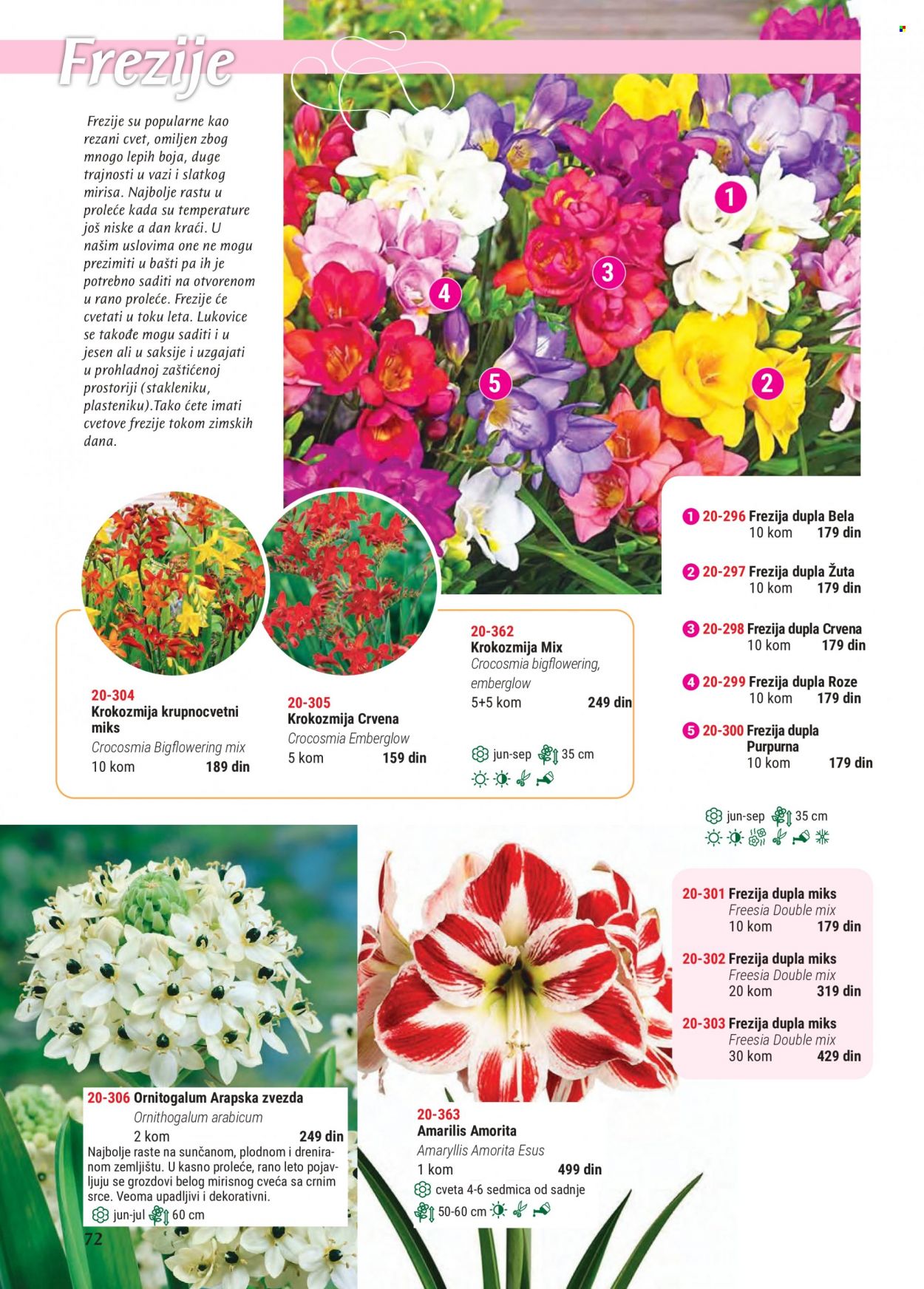 Flora Ekspres katalog. Stranica 72