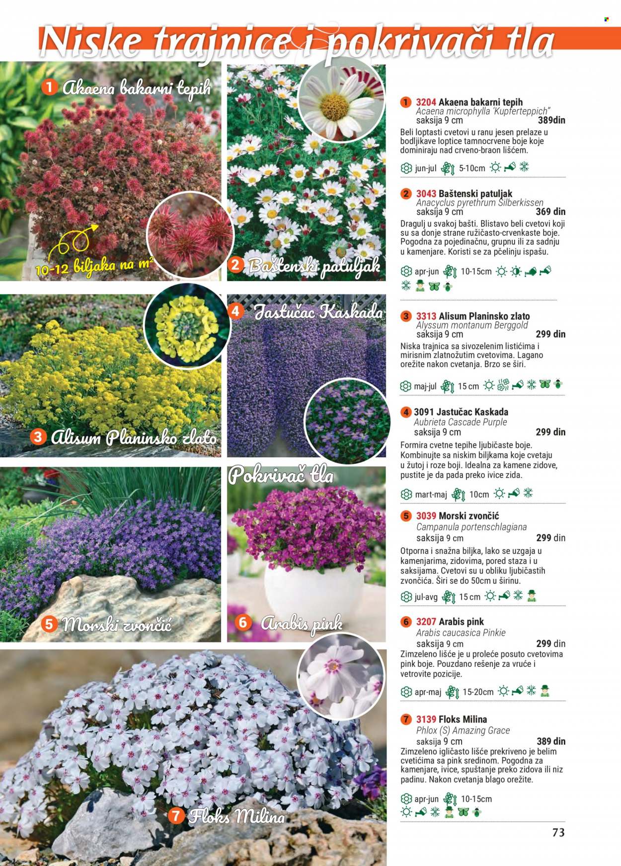 Flora Ekspres katalog. Stranica 73
