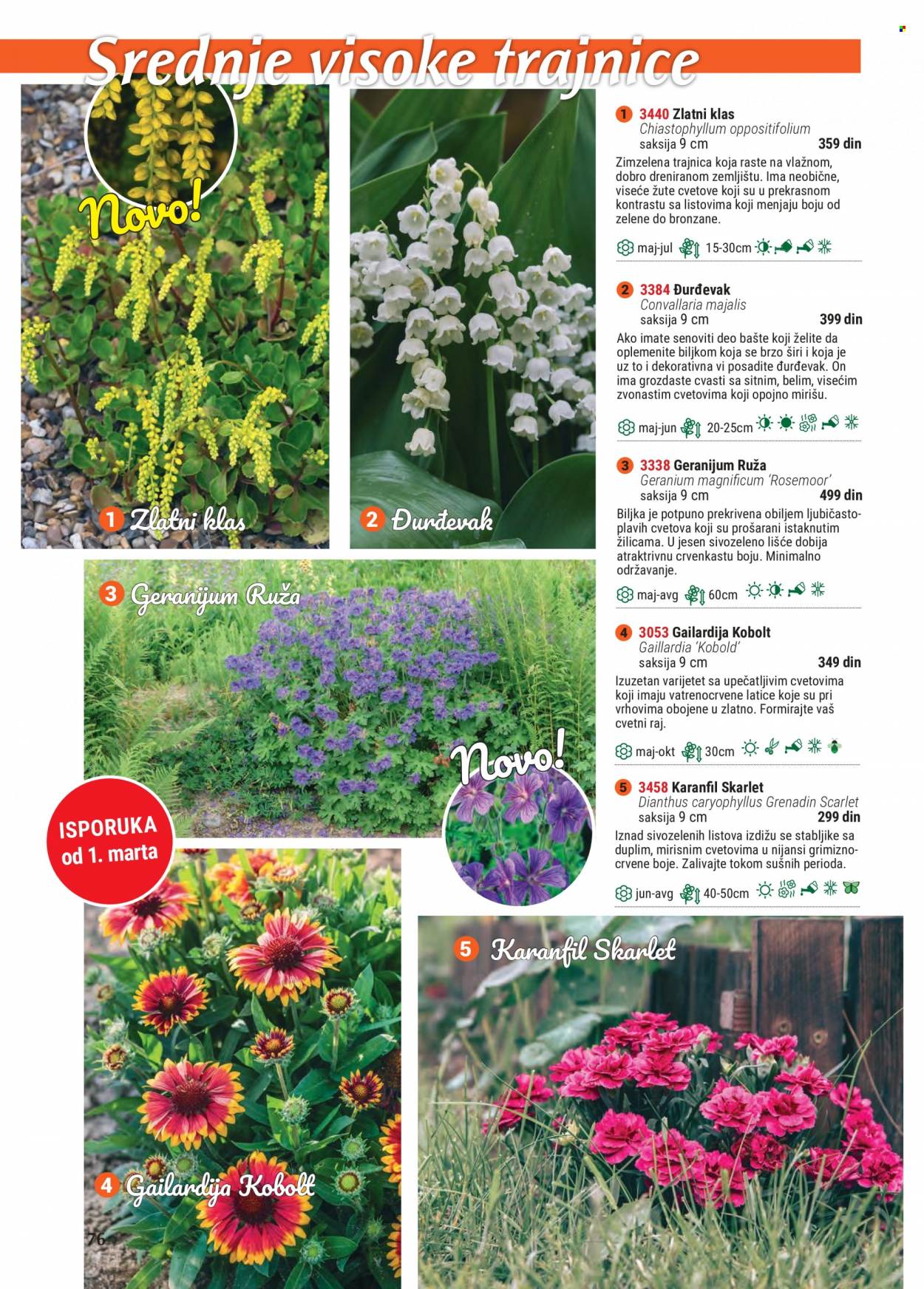 Flora Ekspres katalog. Stranica 76