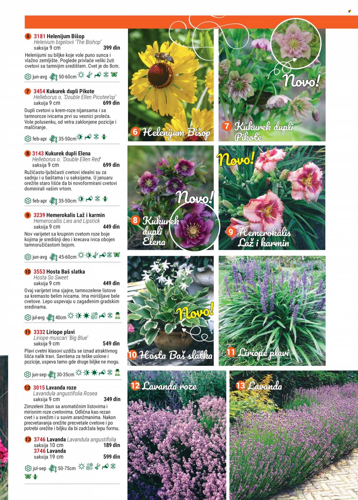 Flora Ekspres katalog. Stranica 77