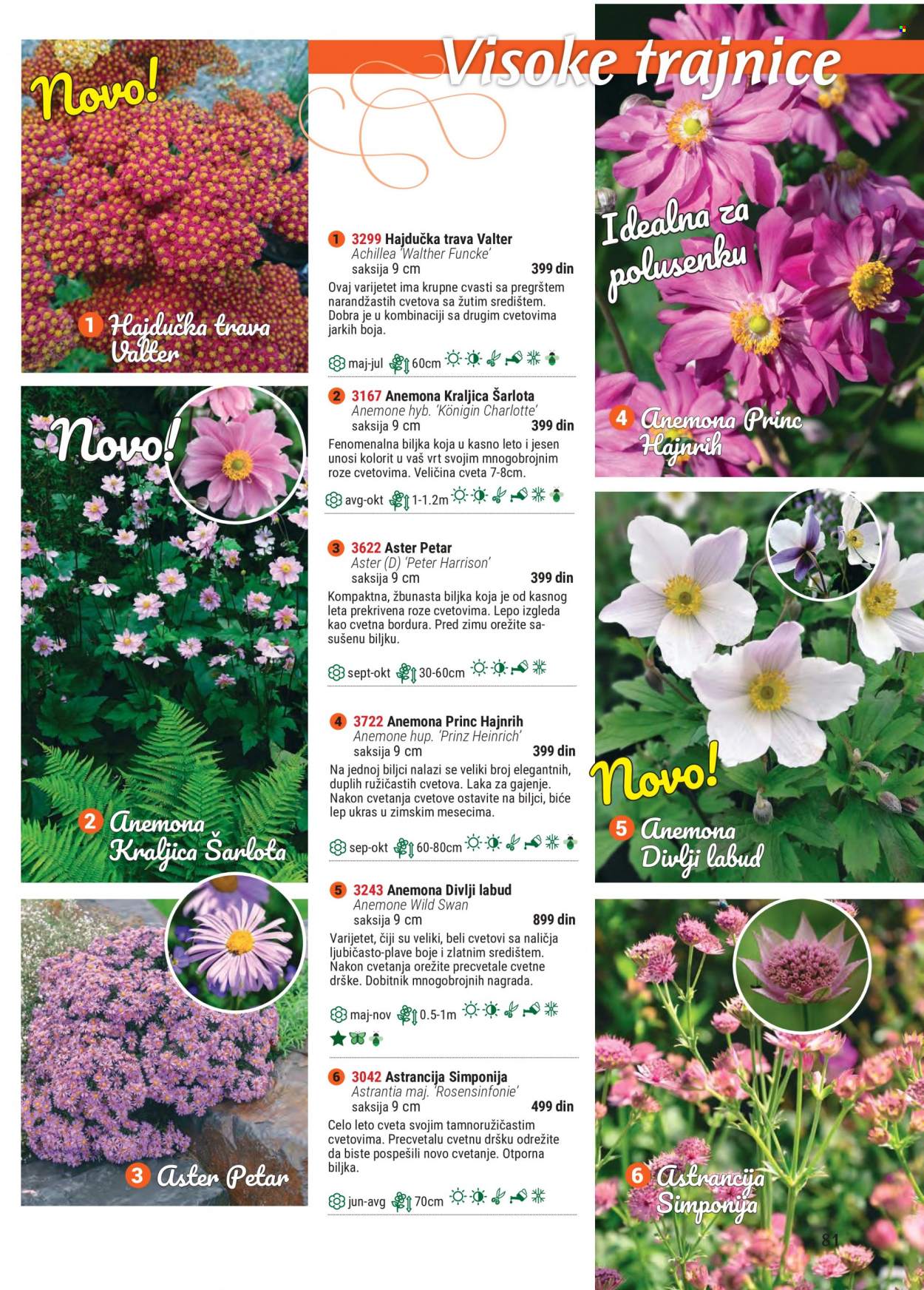Flora Ekspres katalog. Stranica 81