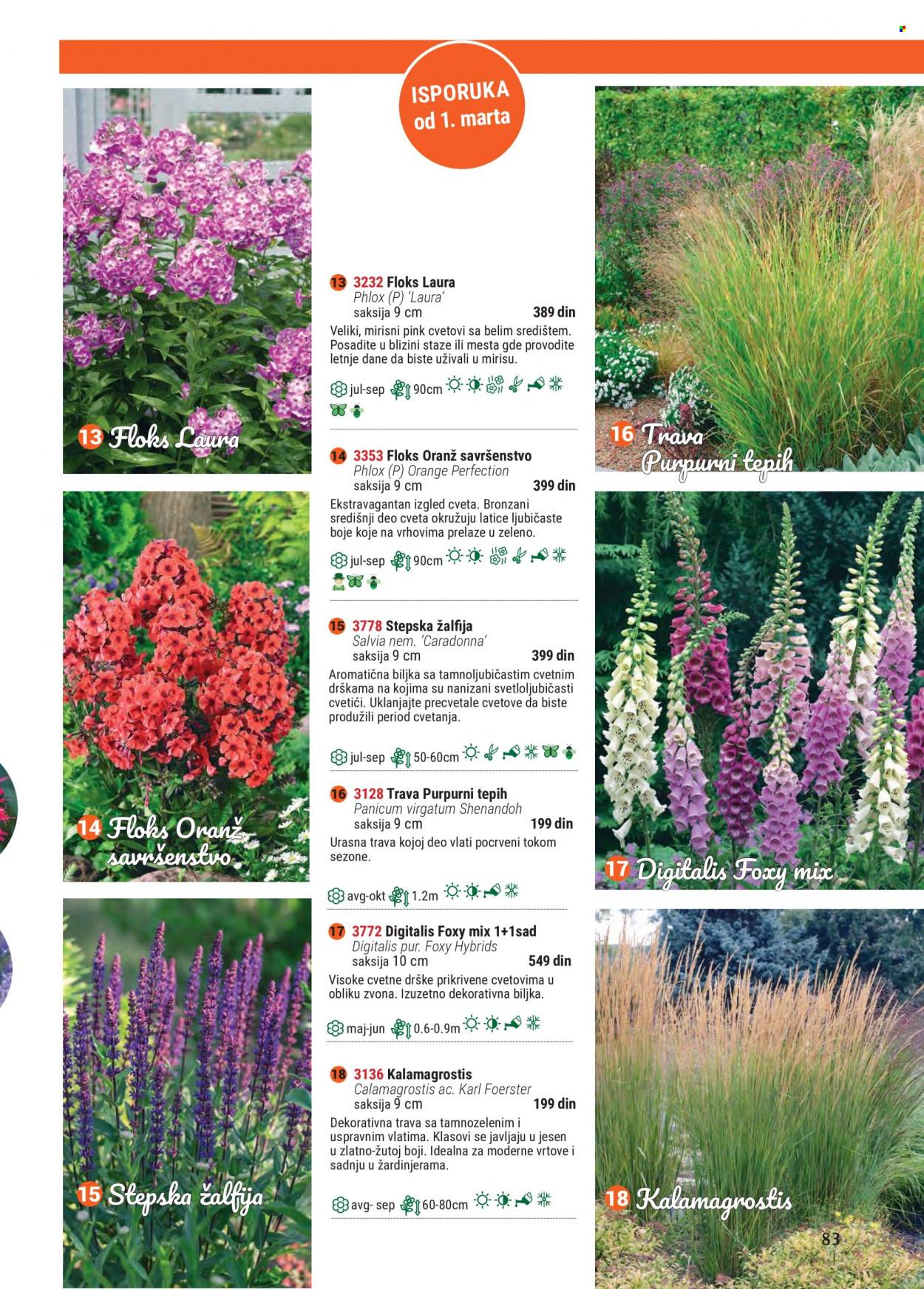 Flora Ekspres katalog. Stranica 83