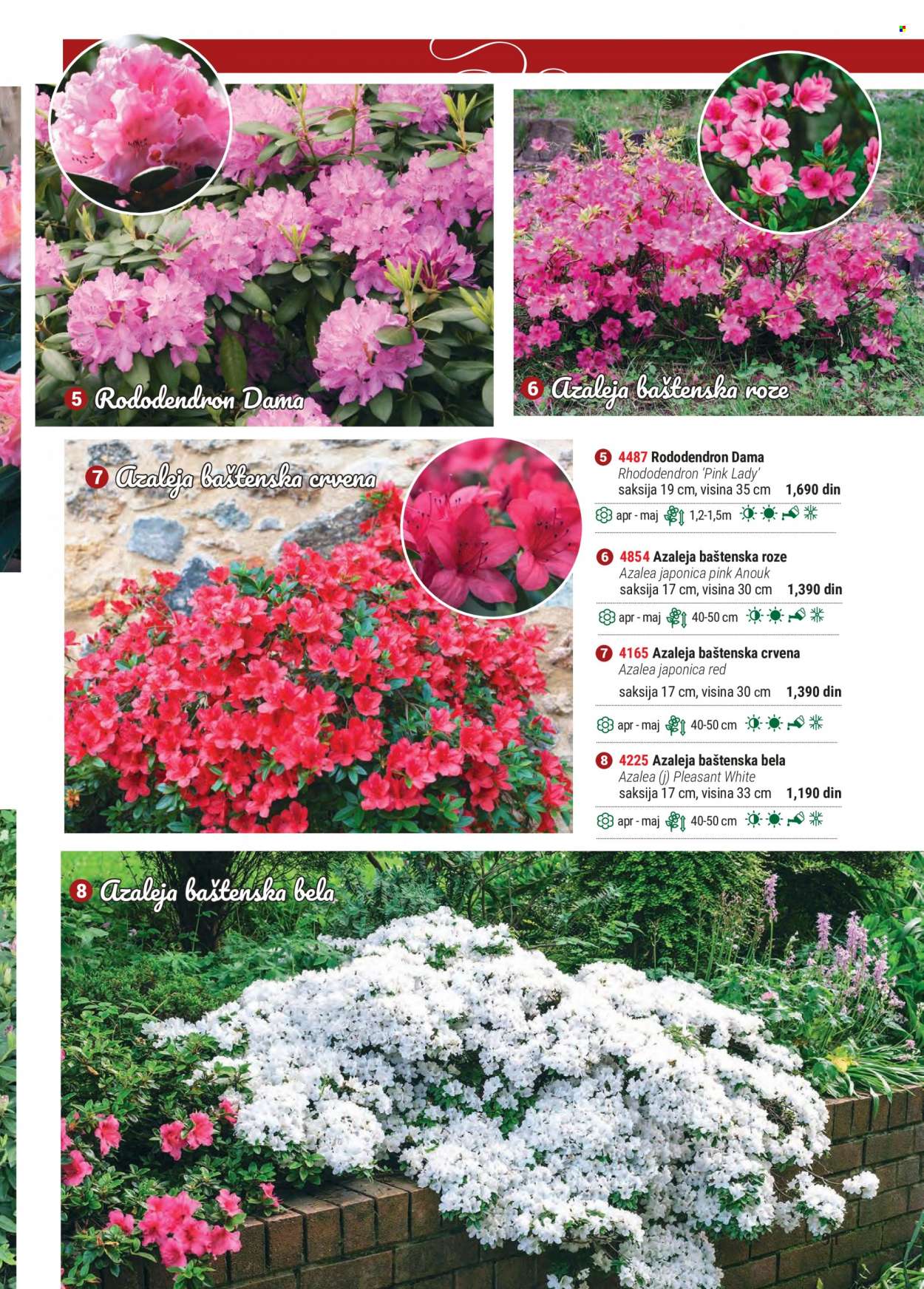 Flora Ekspres katalog. Stranica 91
