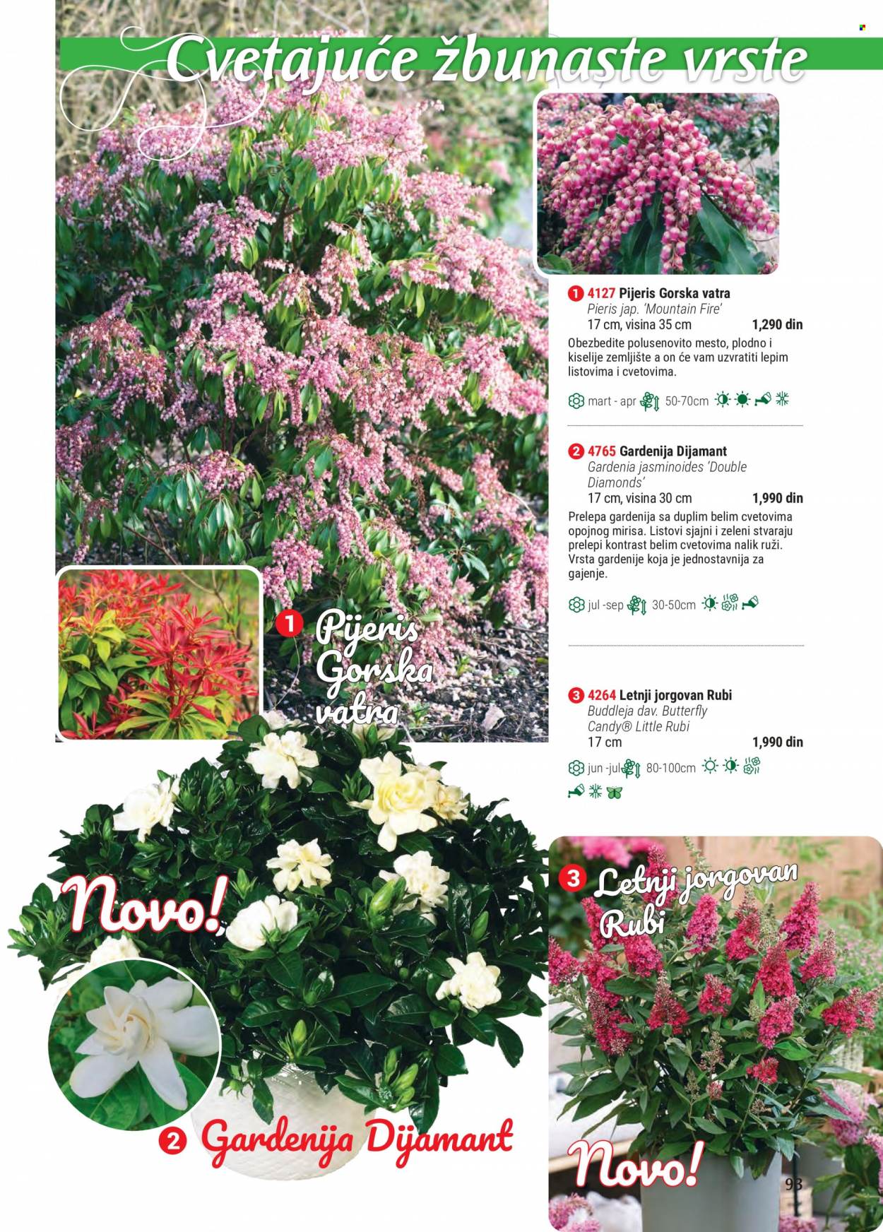 Flora Ekspres katalog. Stranica 93