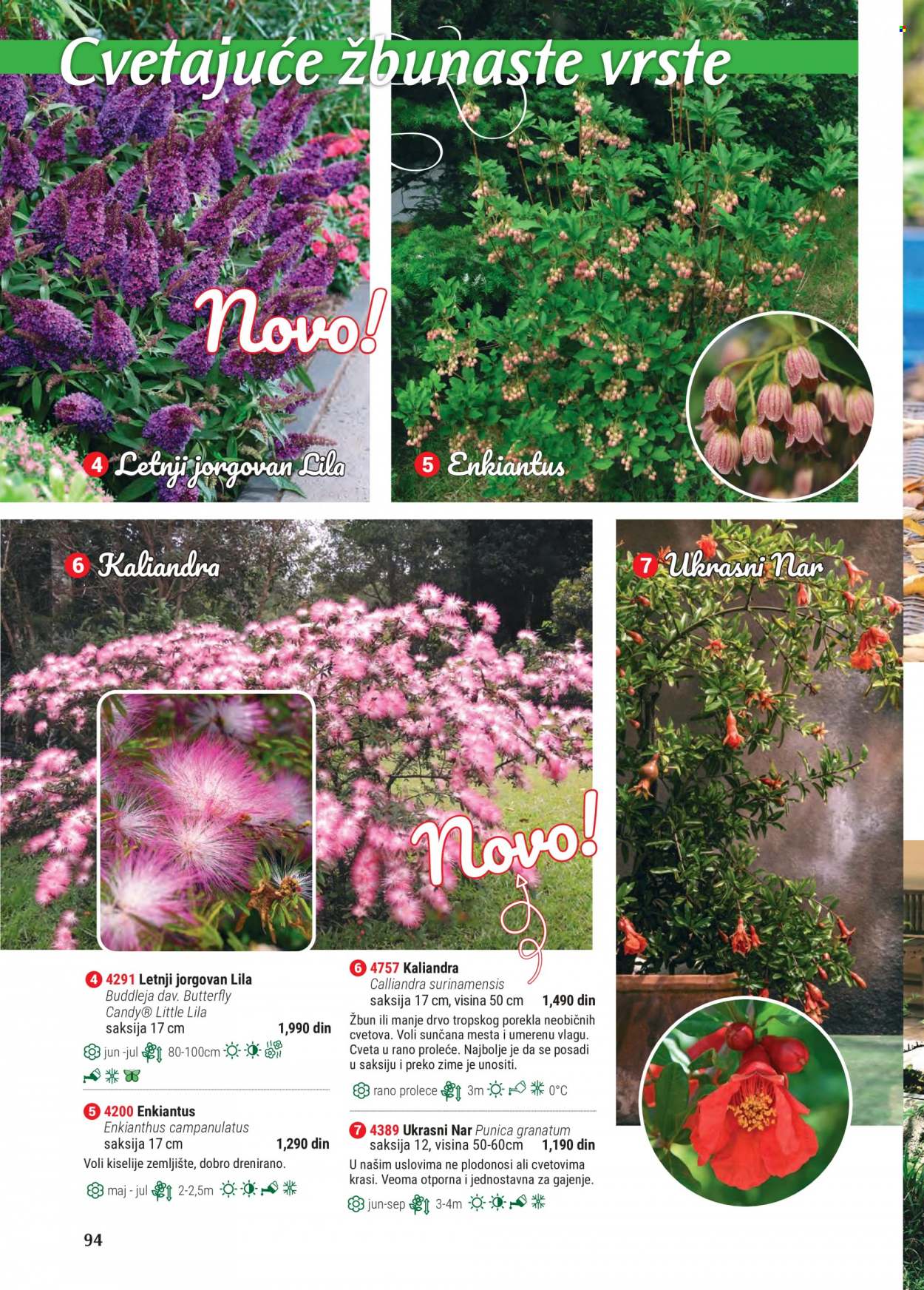 thumbnail - Flora Ekspres katalog - Proizvodi na akciji - saksija. Stranica 94.