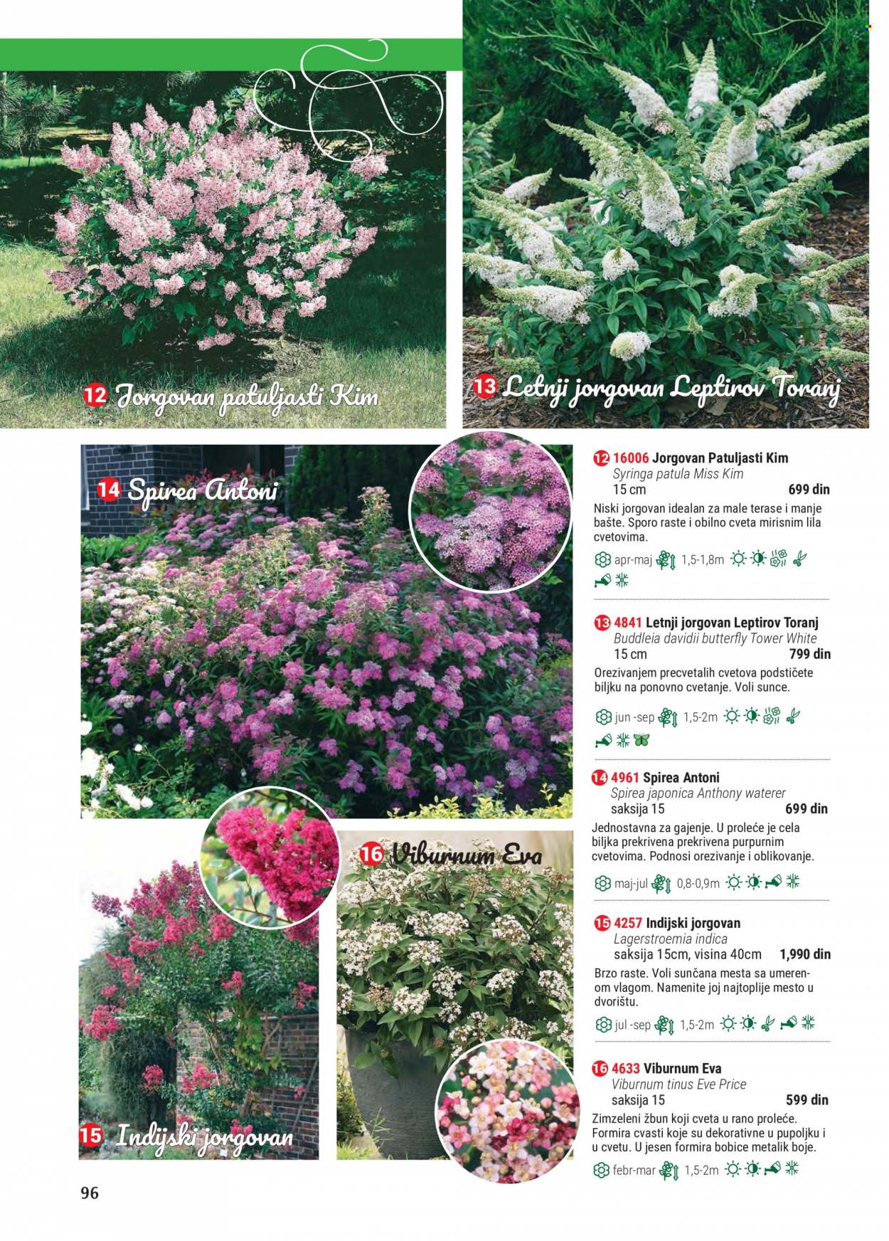 Flora Ekspres katalog. Stranica 96
