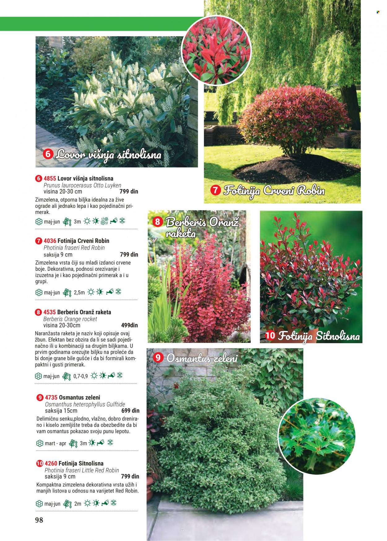 Flora Ekspres katalog. Stranica 98