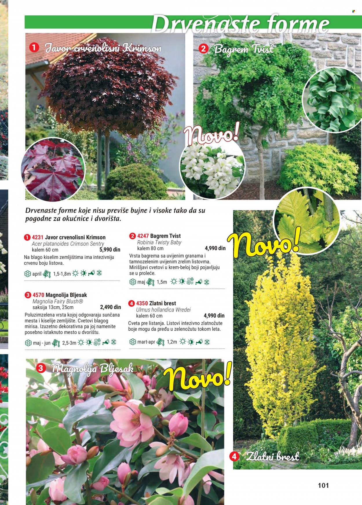 Flora Ekspres katalog. Stranica 101