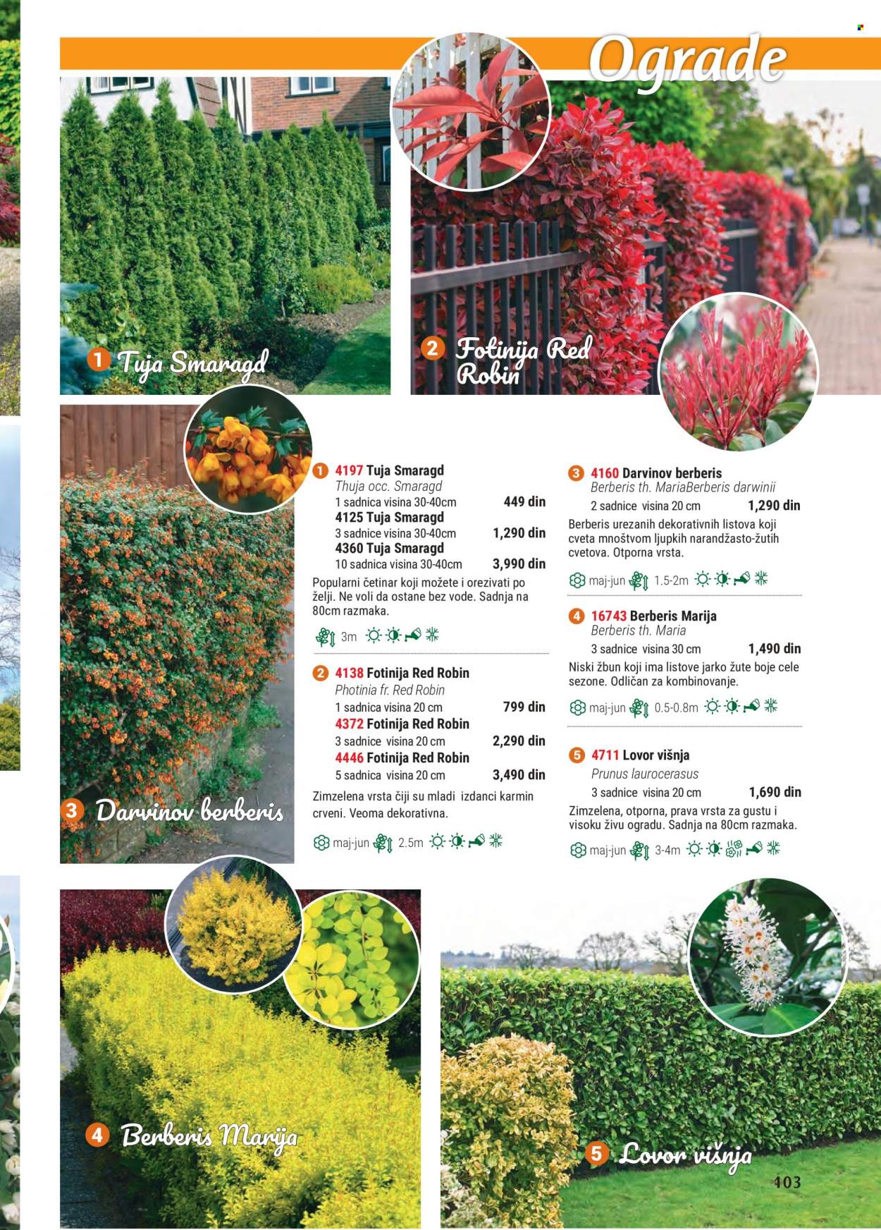Flora Ekspres katalog. Stranica 103