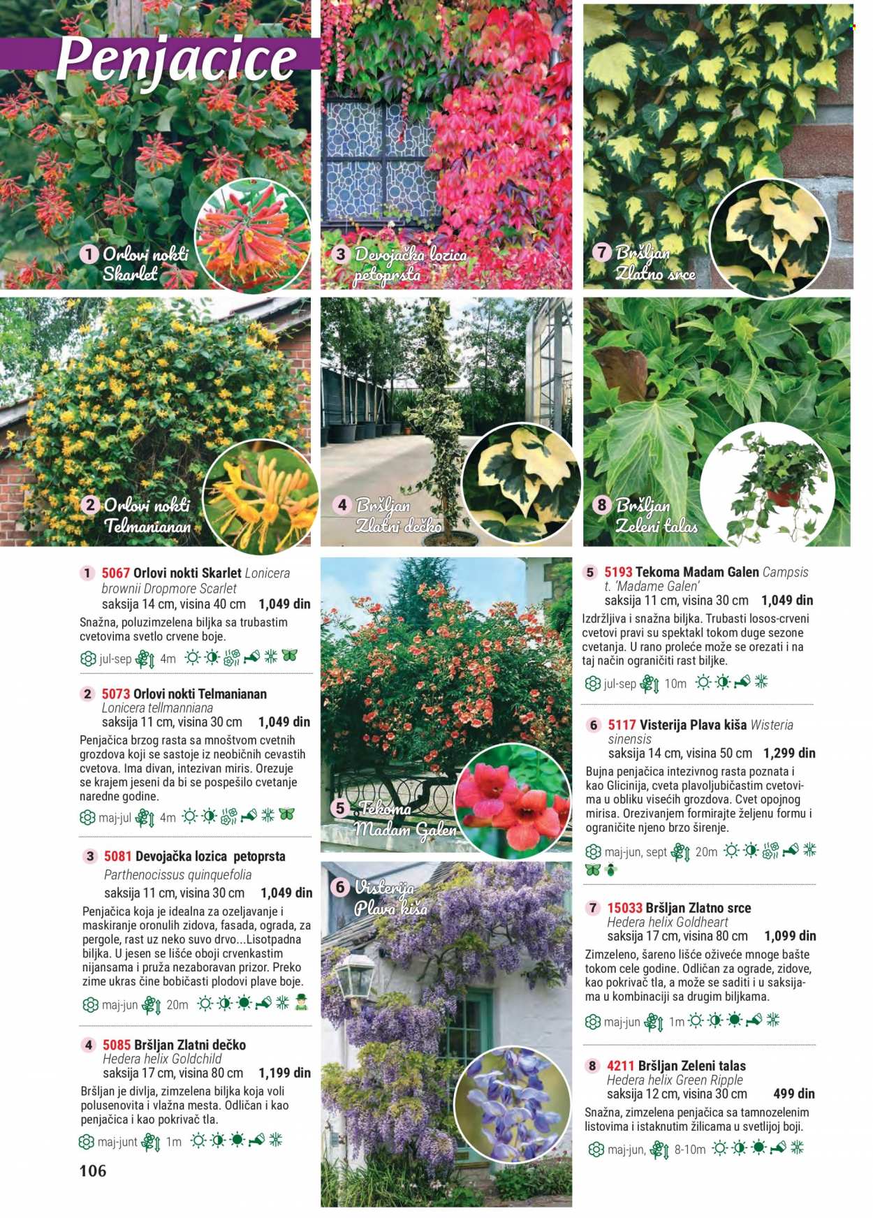 Flora Ekspres katalog. Stranica 106