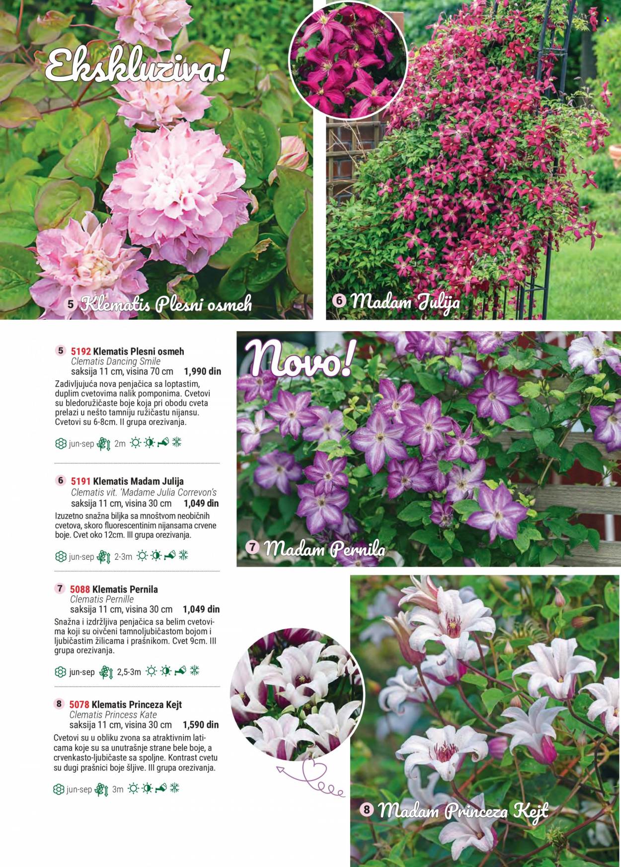 Flora Ekspres katalog. Stranica 108